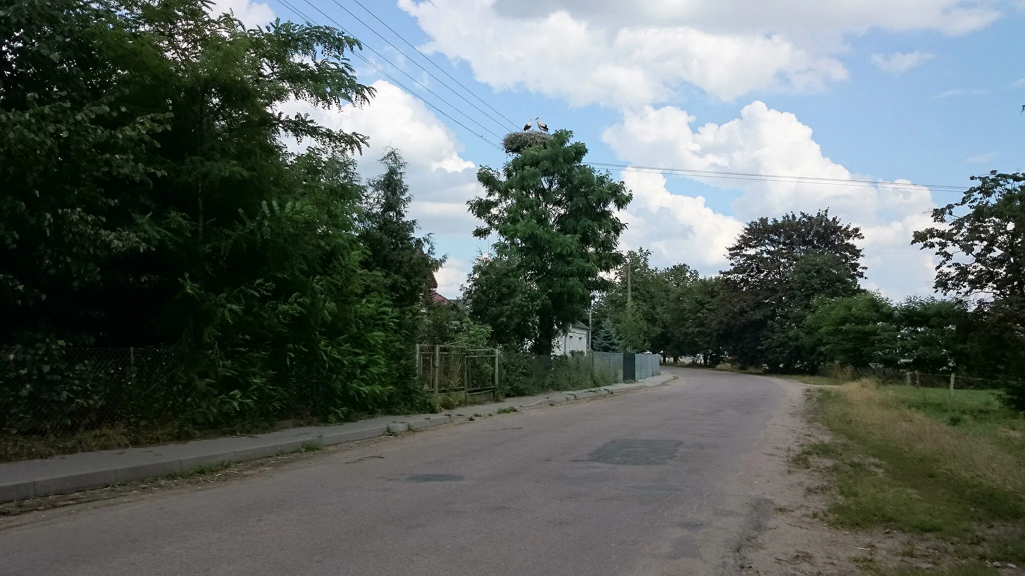 Photo showing: stork's nest - Niegocin, Masovian Voivodeship