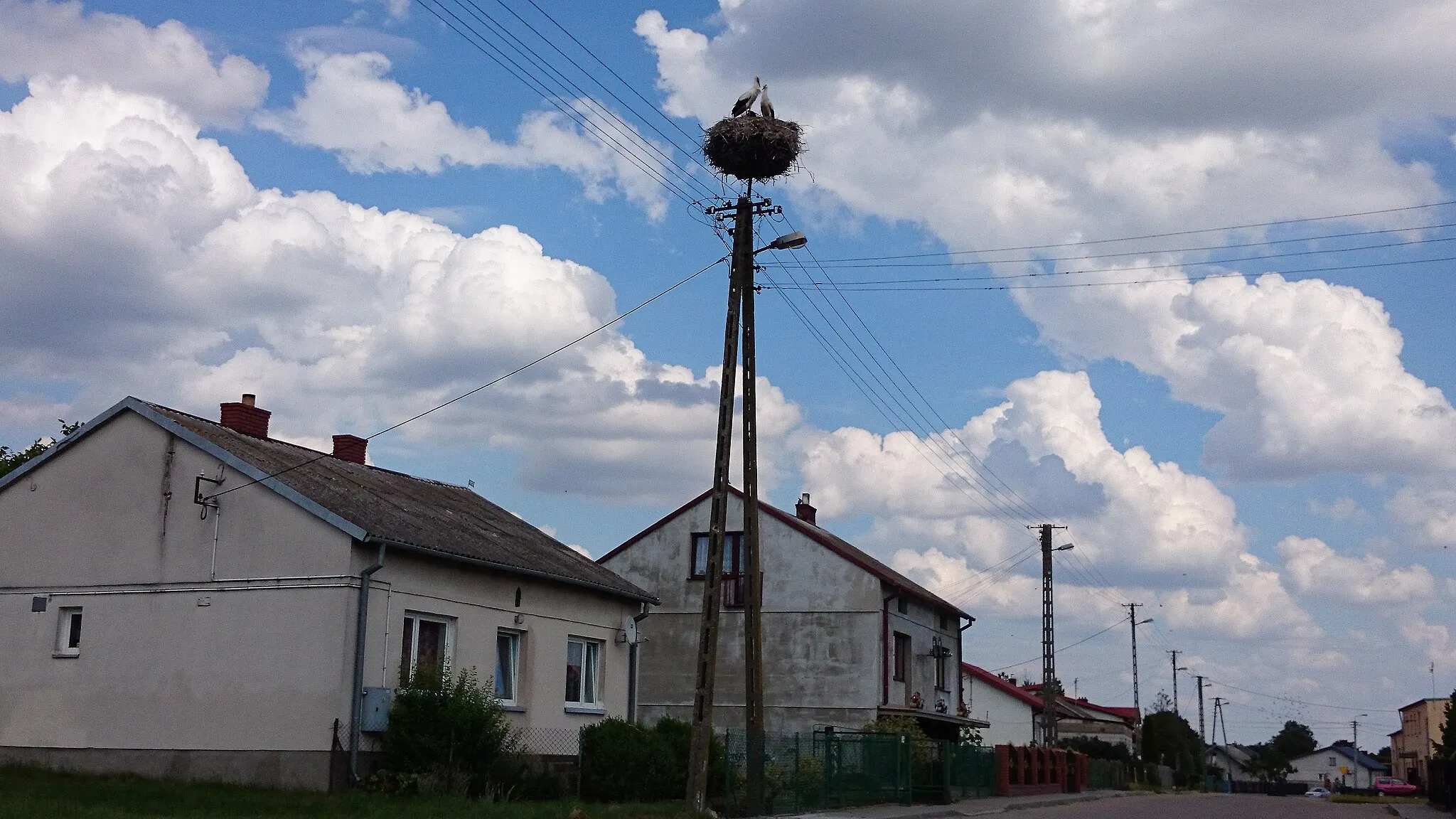Photo showing: stork's nest - Niegocin, gmina Lipowiec Kościelny