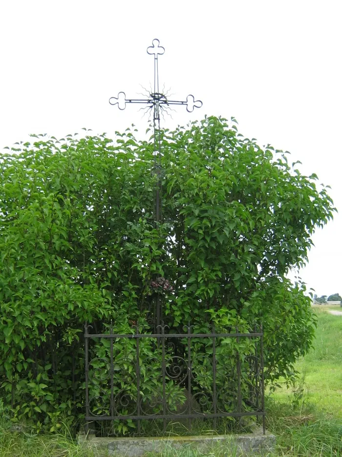 Photo showing: A roadside cross by Polish road #53 between Kadzidło and Dylewo. A crossrad to Kuczyńskie.