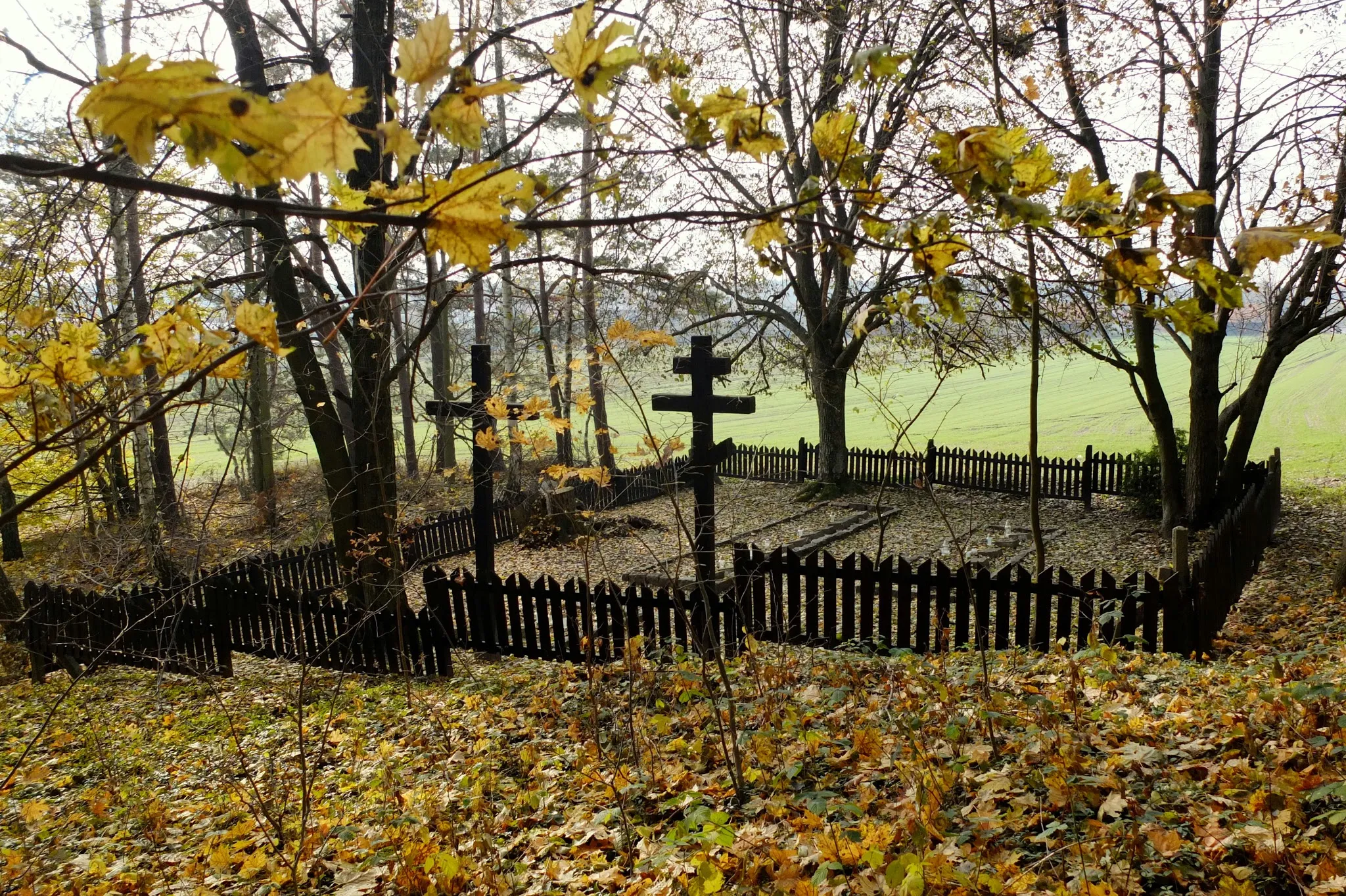 Photo showing: Cmentarz wojenny w Jagarzewie