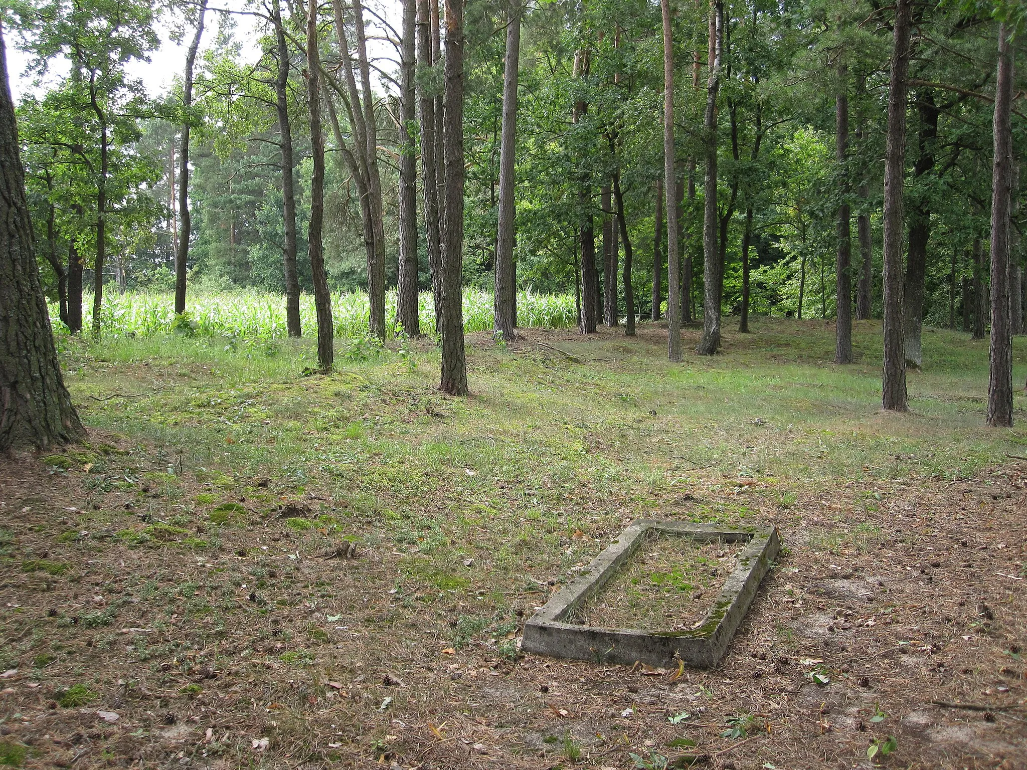 Photo showing: Cemetery in Ciesina