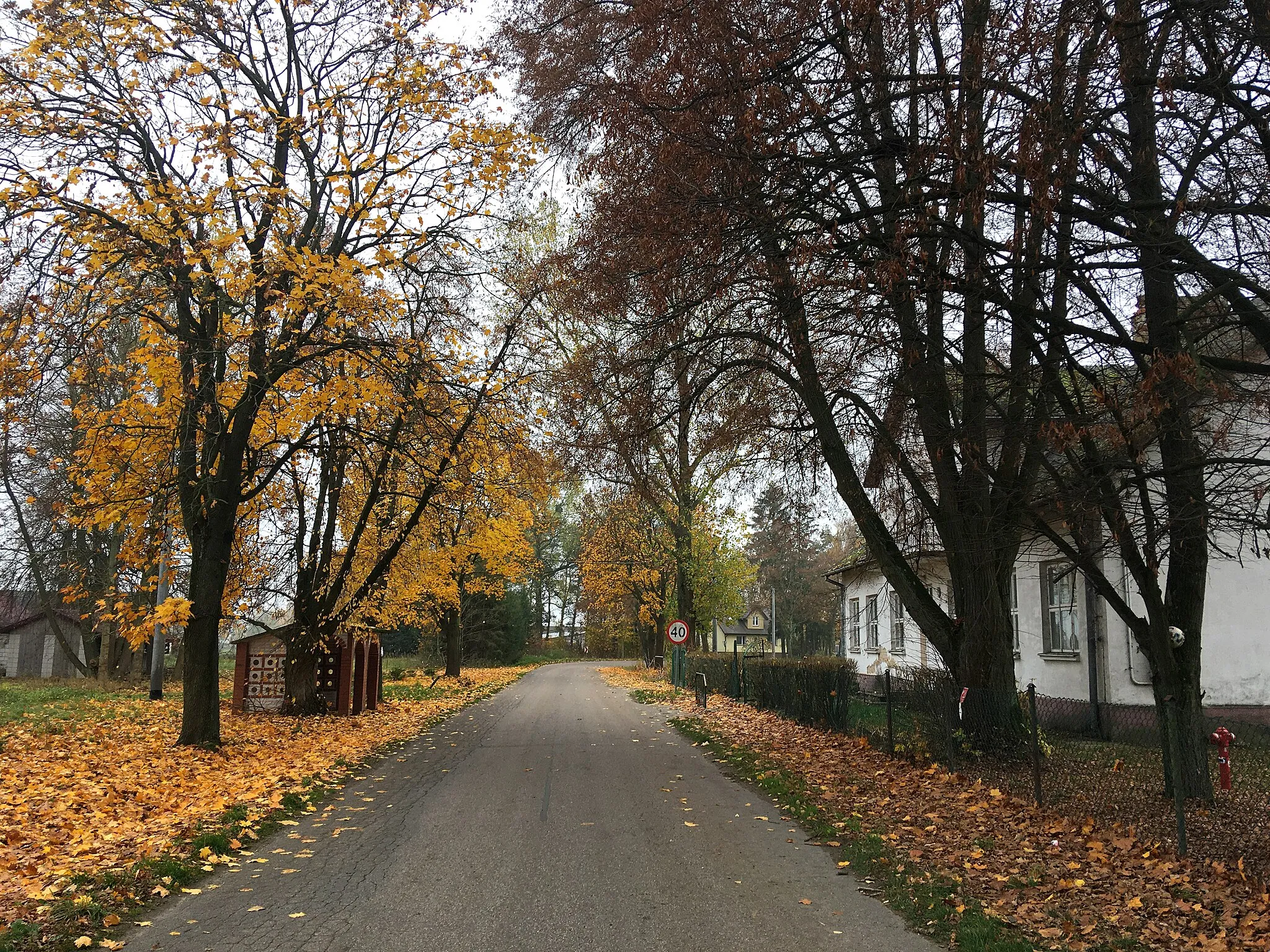 Photo showing: Cięćk