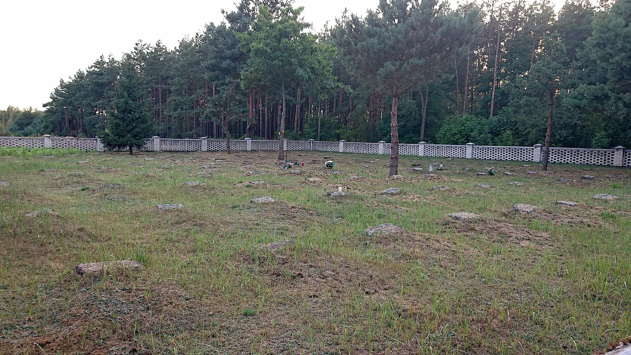 Photo showing: I world war cemetery in Budy Rządowe, Kurpie region, Poland