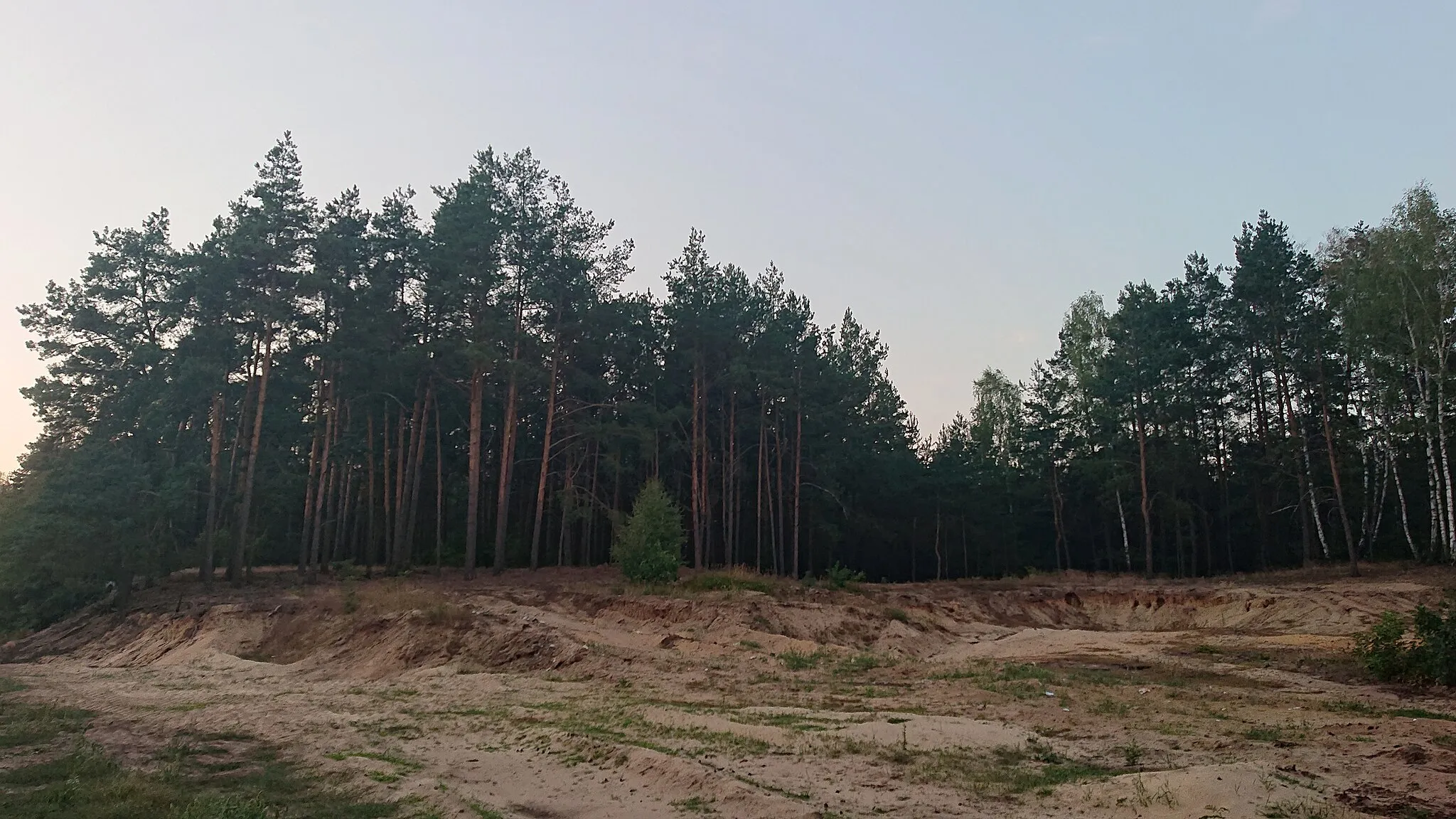 Photo showing: Dune with pines - typical view from Kurpie (Green Forest), here in Budy Rządowe, Jednorożecm commune