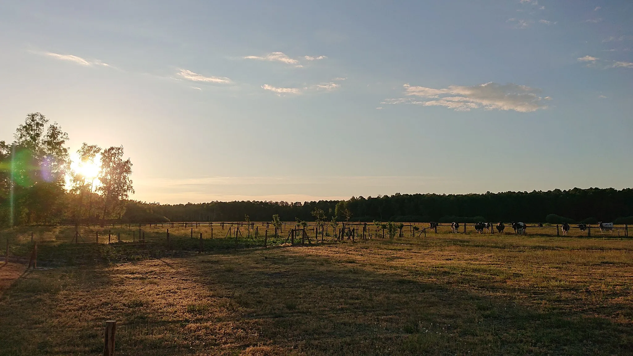 Photo showing: Bandysie, Kurpie (Green Forest), Poland