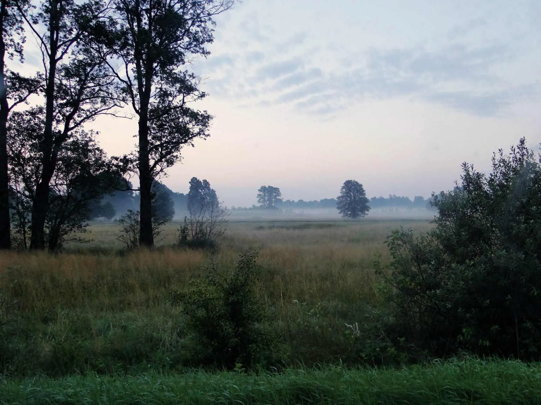 Photo showing: Fog before sunrise in Zieliniec, Poland