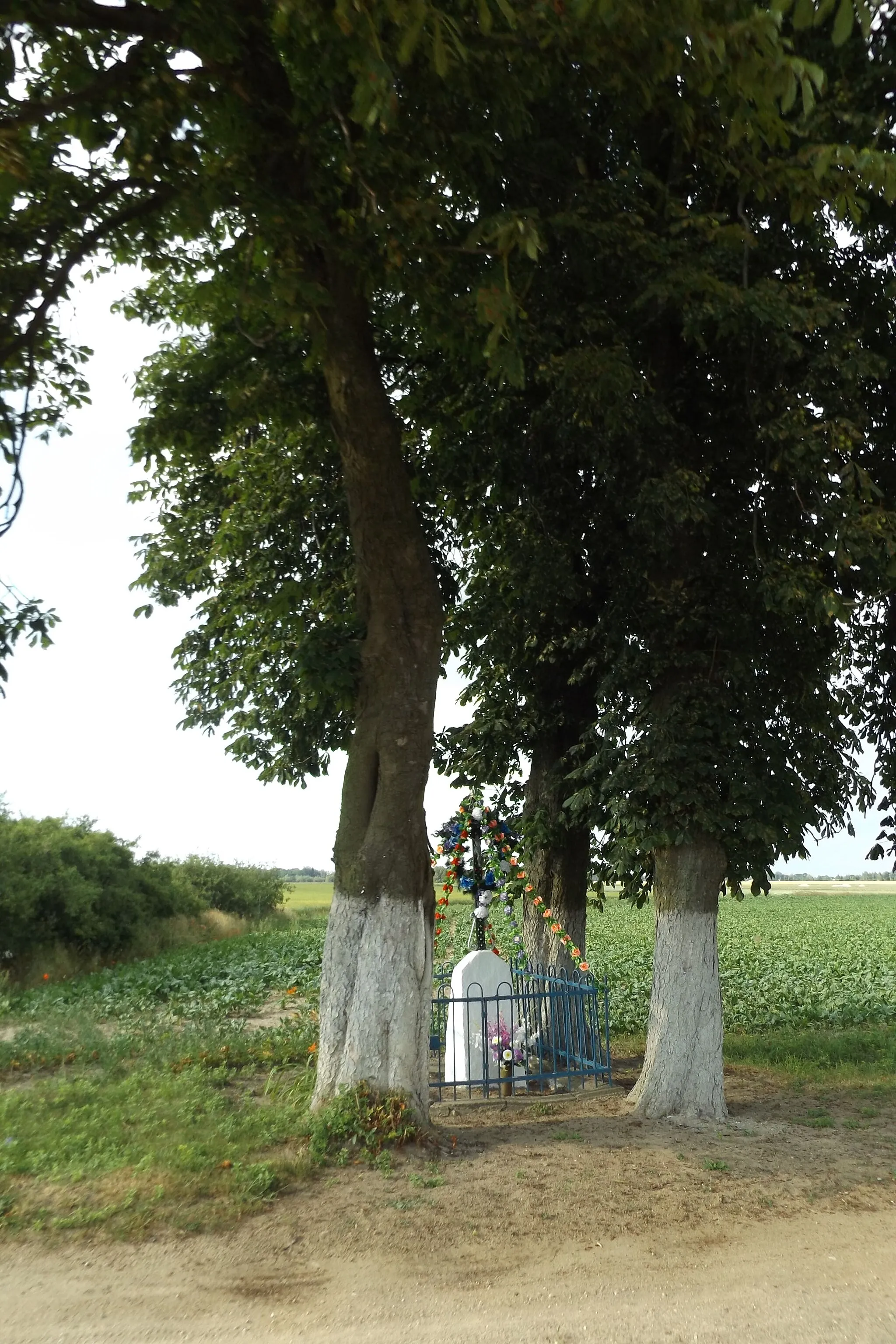 Photo showing: Wayside shrine, located on the northern side of the intersection, at the junction of the villages of Krubice Stare (on the western side of the shrine), Osiek (on the eastern side of the shrine), Worowice (on the northern side of the shrine) in the Bulkowo commune in 2018