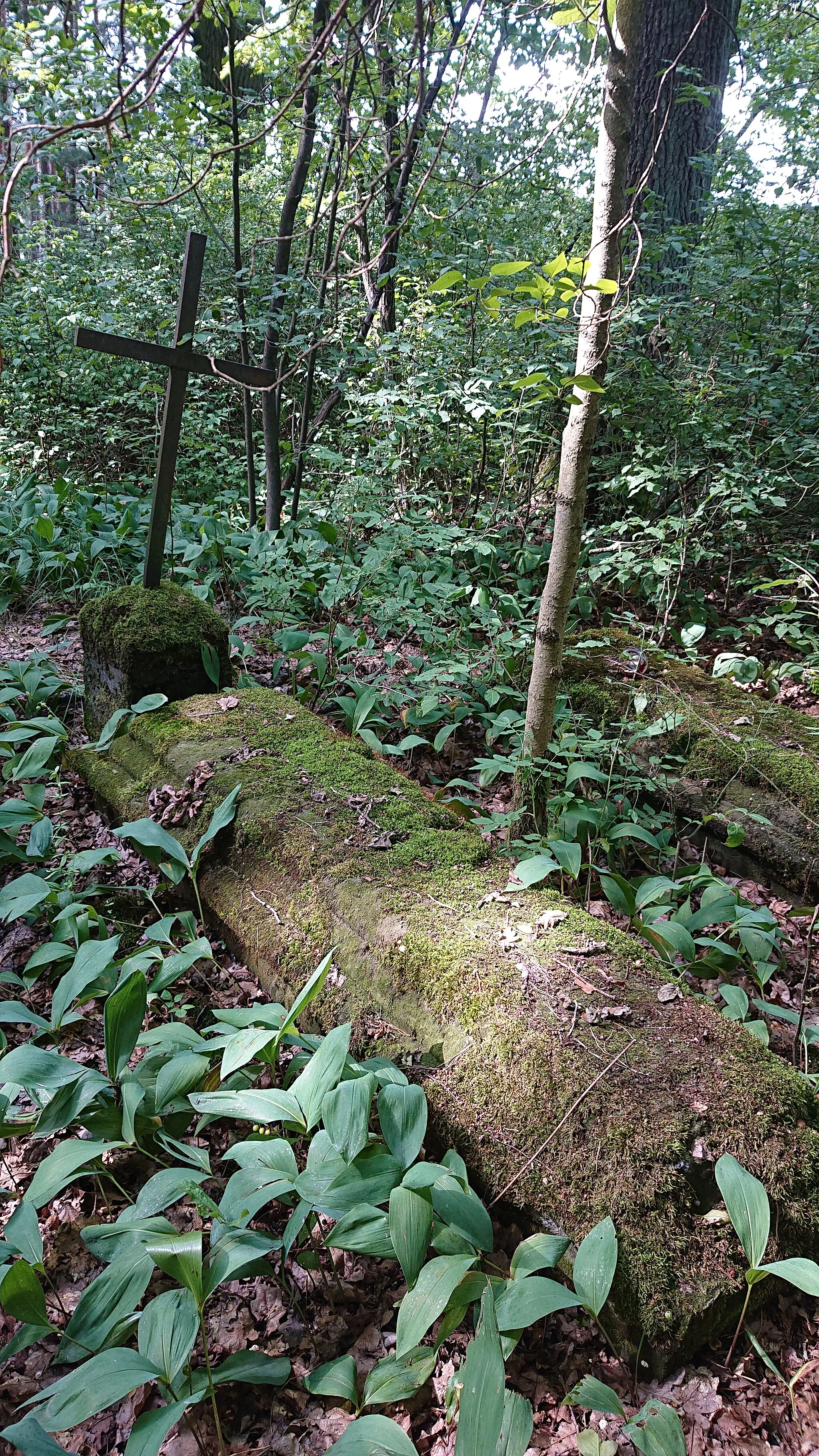 Photo showing: Wincentowo - graveyard of German settlers