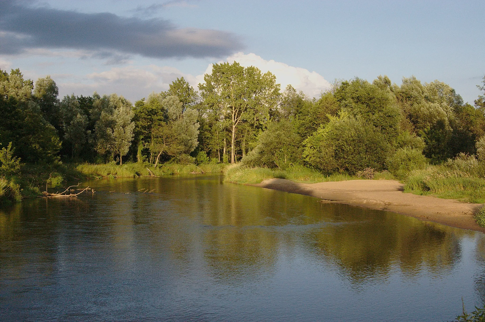 Photo showing: Rzeka Liwiec