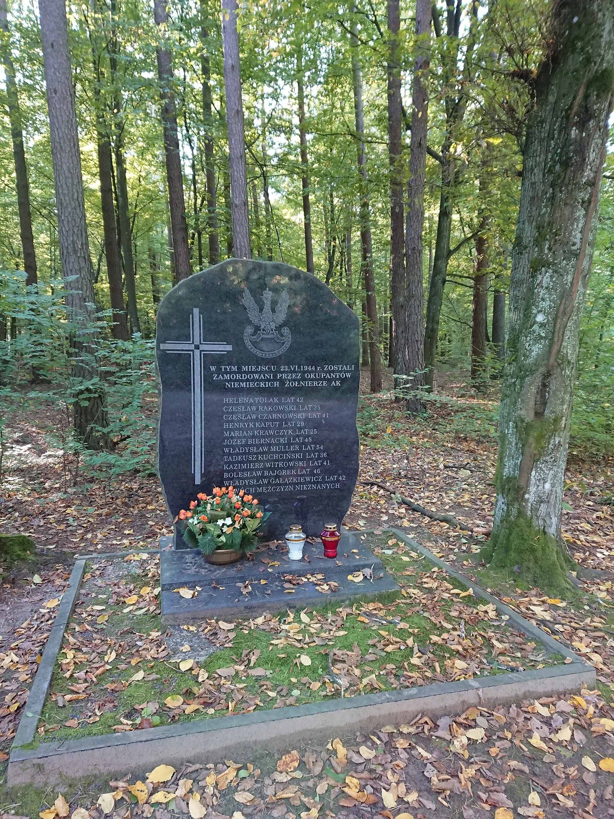 Photo showing: Miejsce pamięci narodowej  w lesie na granicy Trzcianki i Leszczydołu-Nowiny