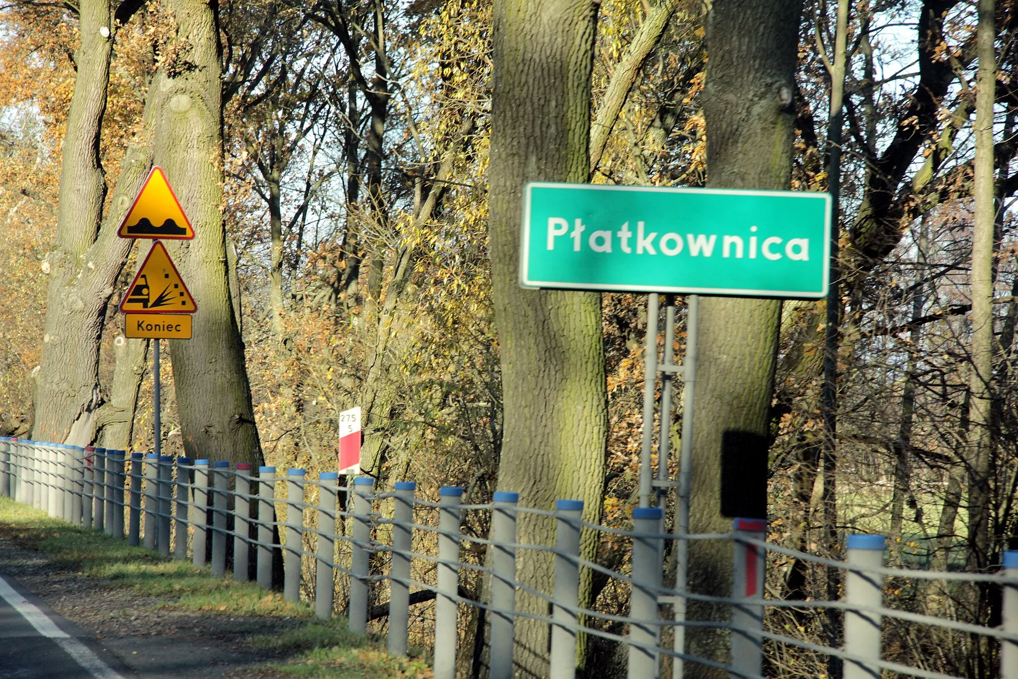 Photo showing: Płatkownica gm. Sadowne, woj. mazowieckie