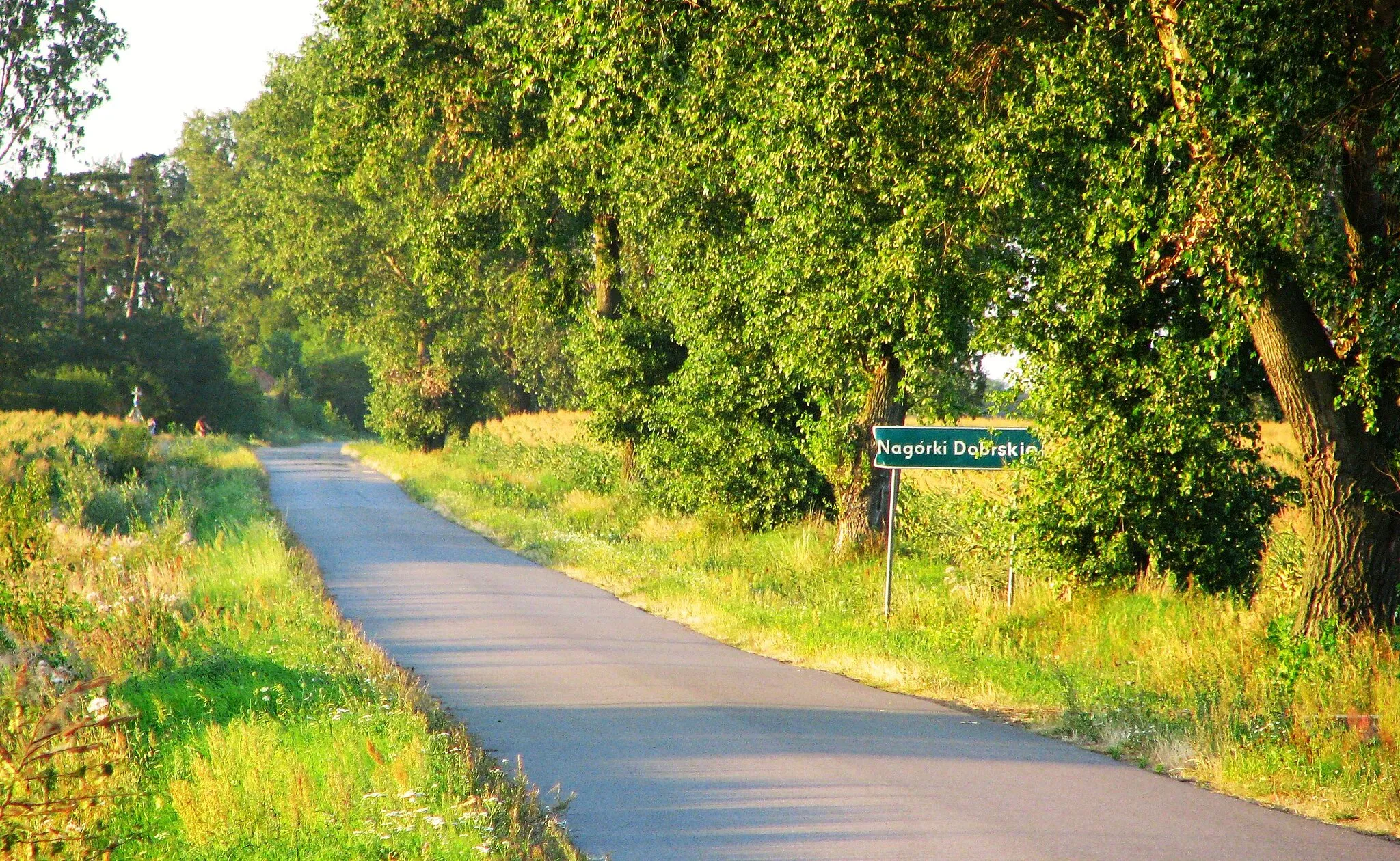 Photo showing: Nagórki Dobrskie, gmina Drobin