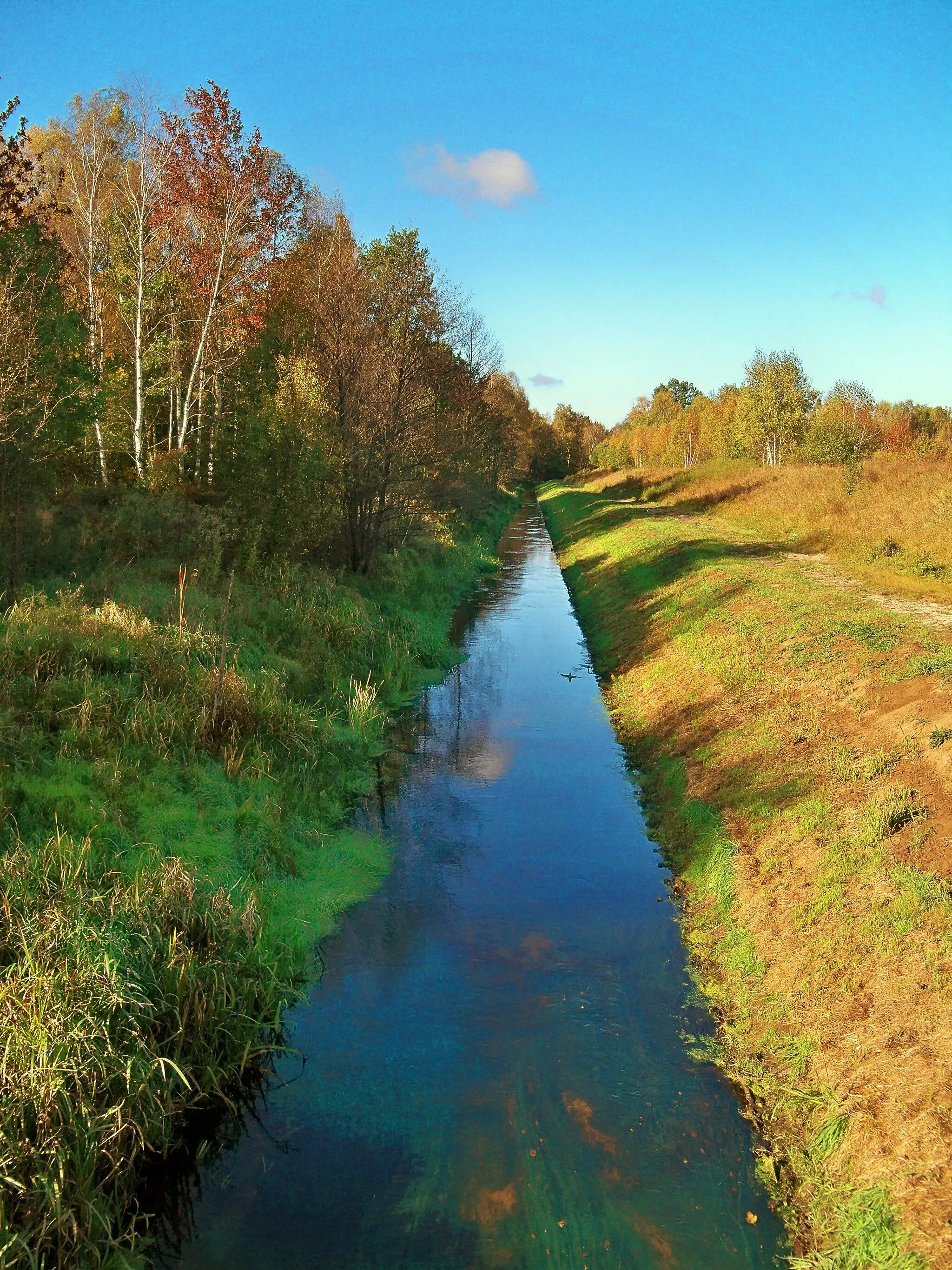 Photo showing: Kanał Kromnowski na granicy Kampinoskiego Parku Narodowego (po lewej). Śladów. W wodzie widoczne łany moczarki kanadyjskiej porośniętej gałęzatką.