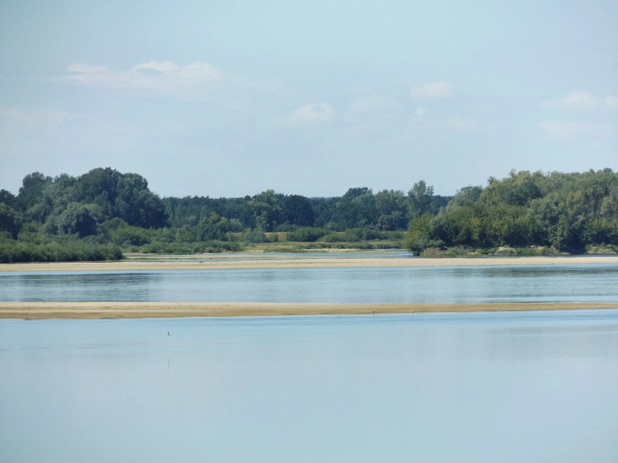 Photo showing: East edge of nature reserve Kępa Antonińska, in Pieczyska Iłowskie, view (from distance ca. 3 km ) from Rakowo, from north (right) bank of Vistula river in 2018 y.