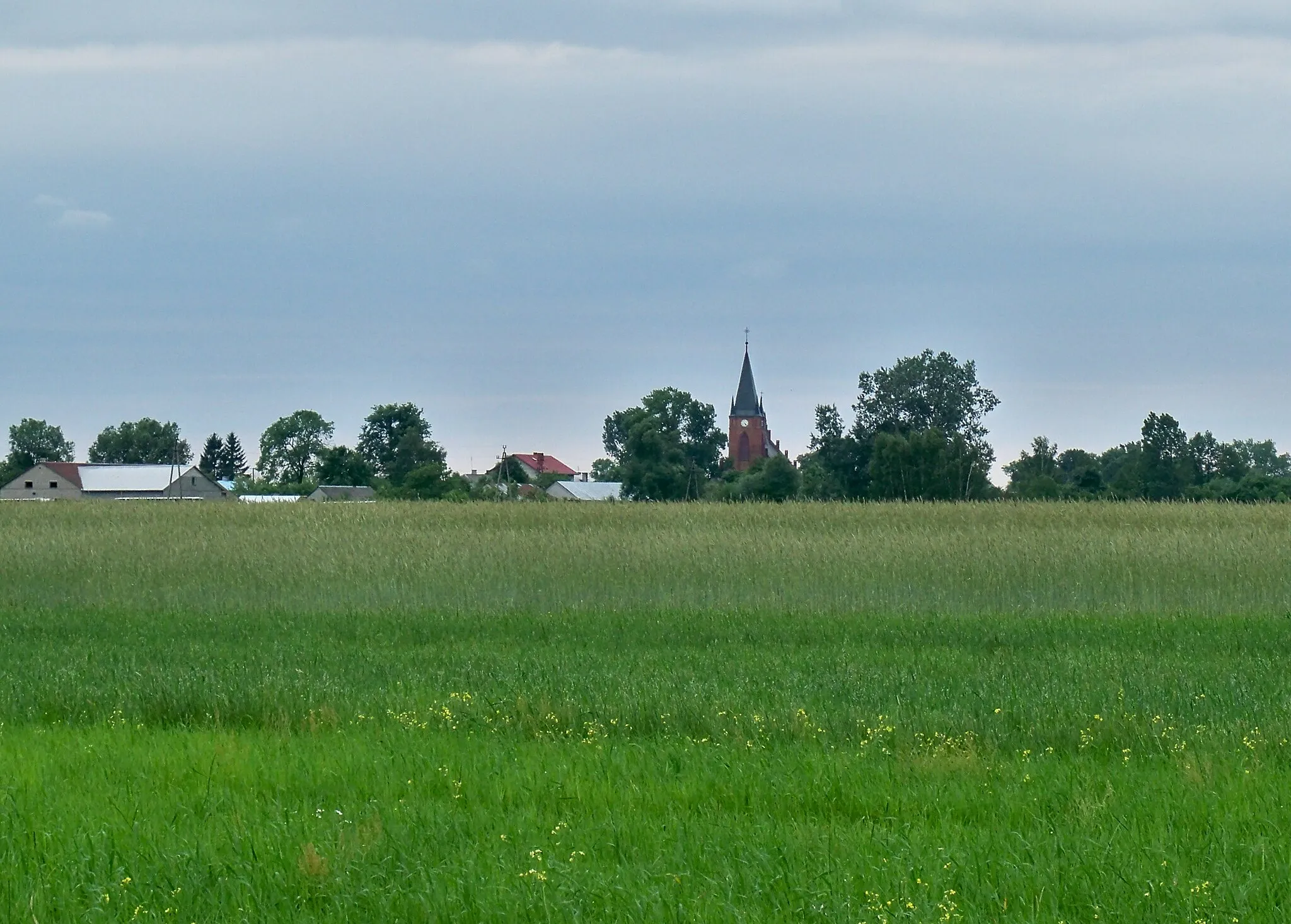 Photo showing: Pola pod Pniewnikiem k. Węgrowa