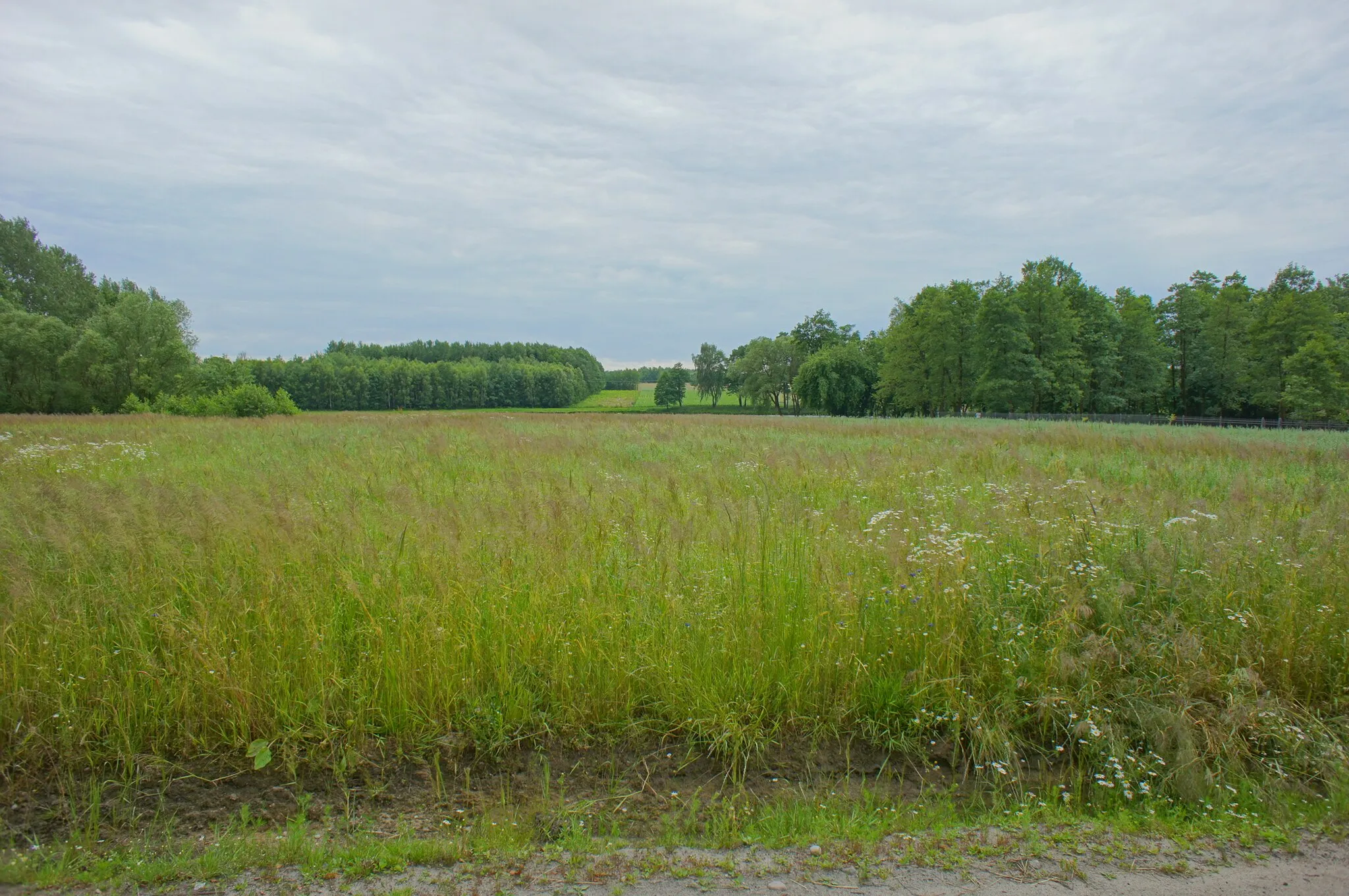 Photo showing: Czarna, powiat miński