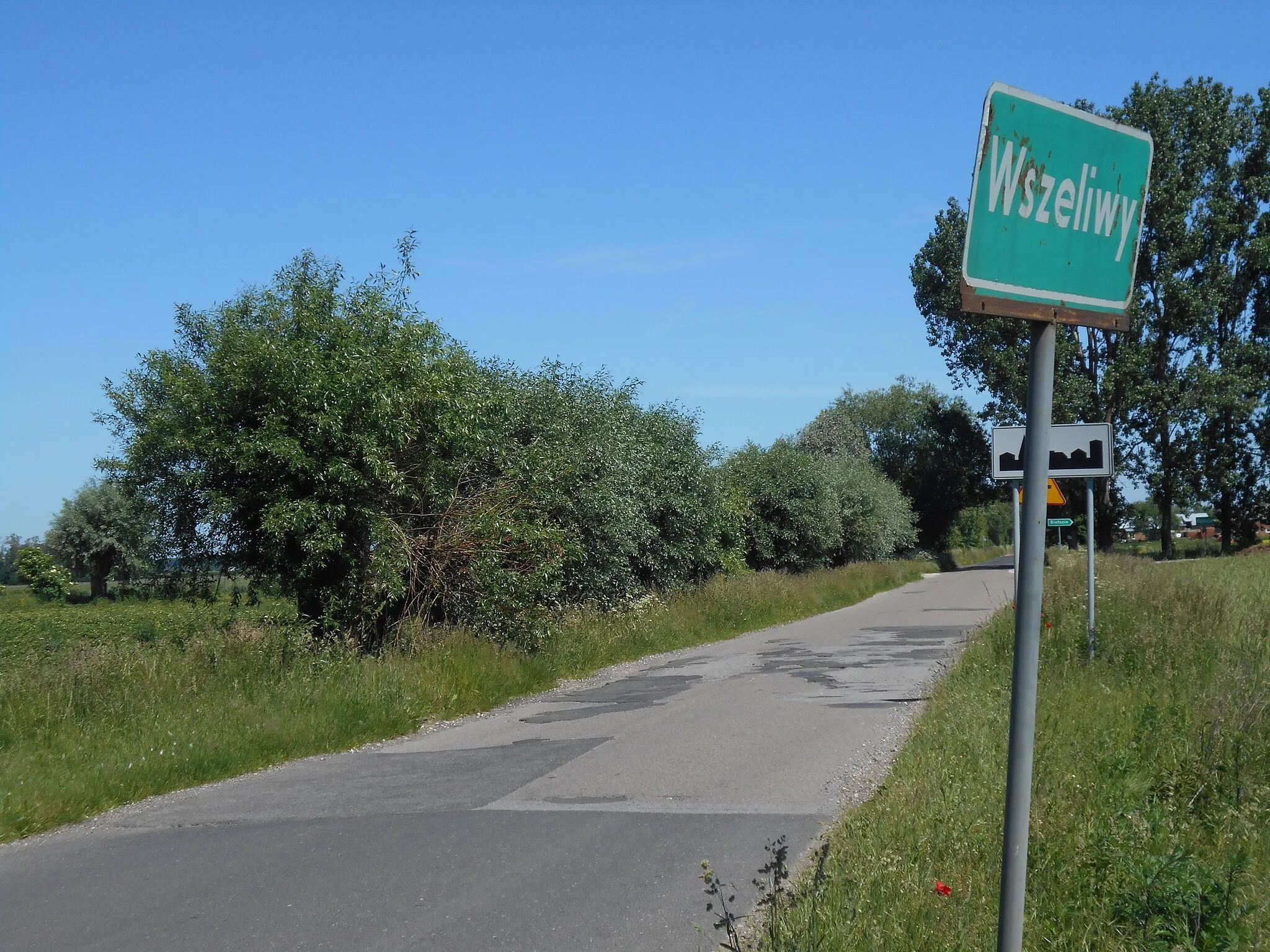 Photo showing: Miejscowość w gminie Iłów