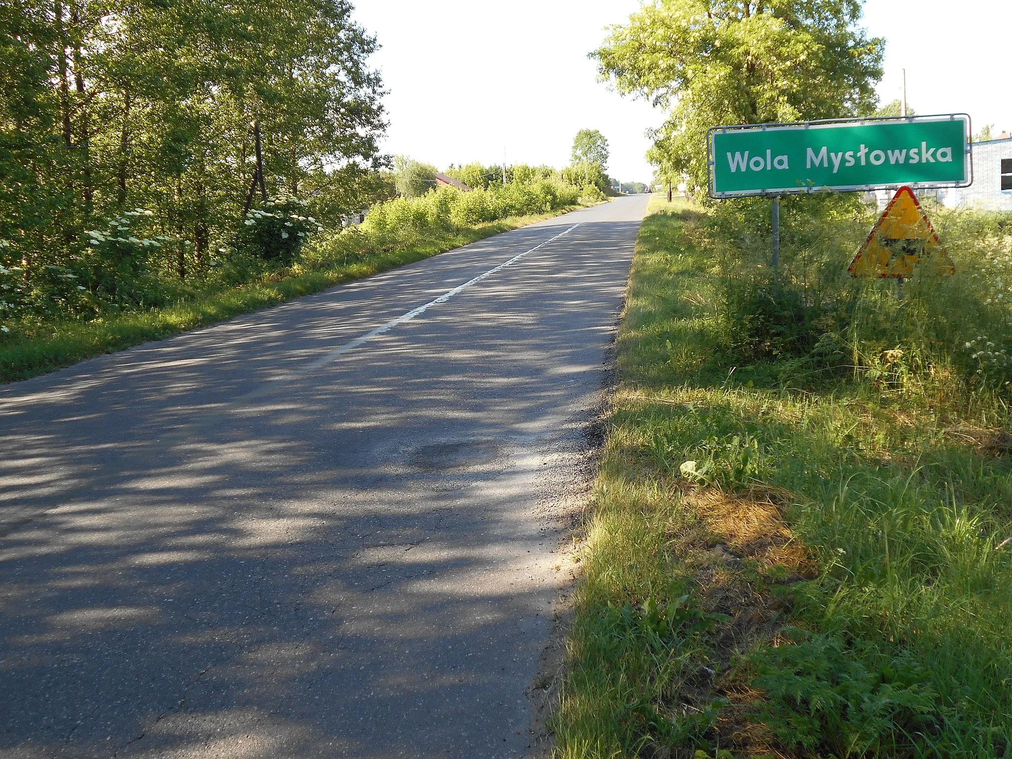 Photo showing: Miejscowość w gminie Wola Mysłowska