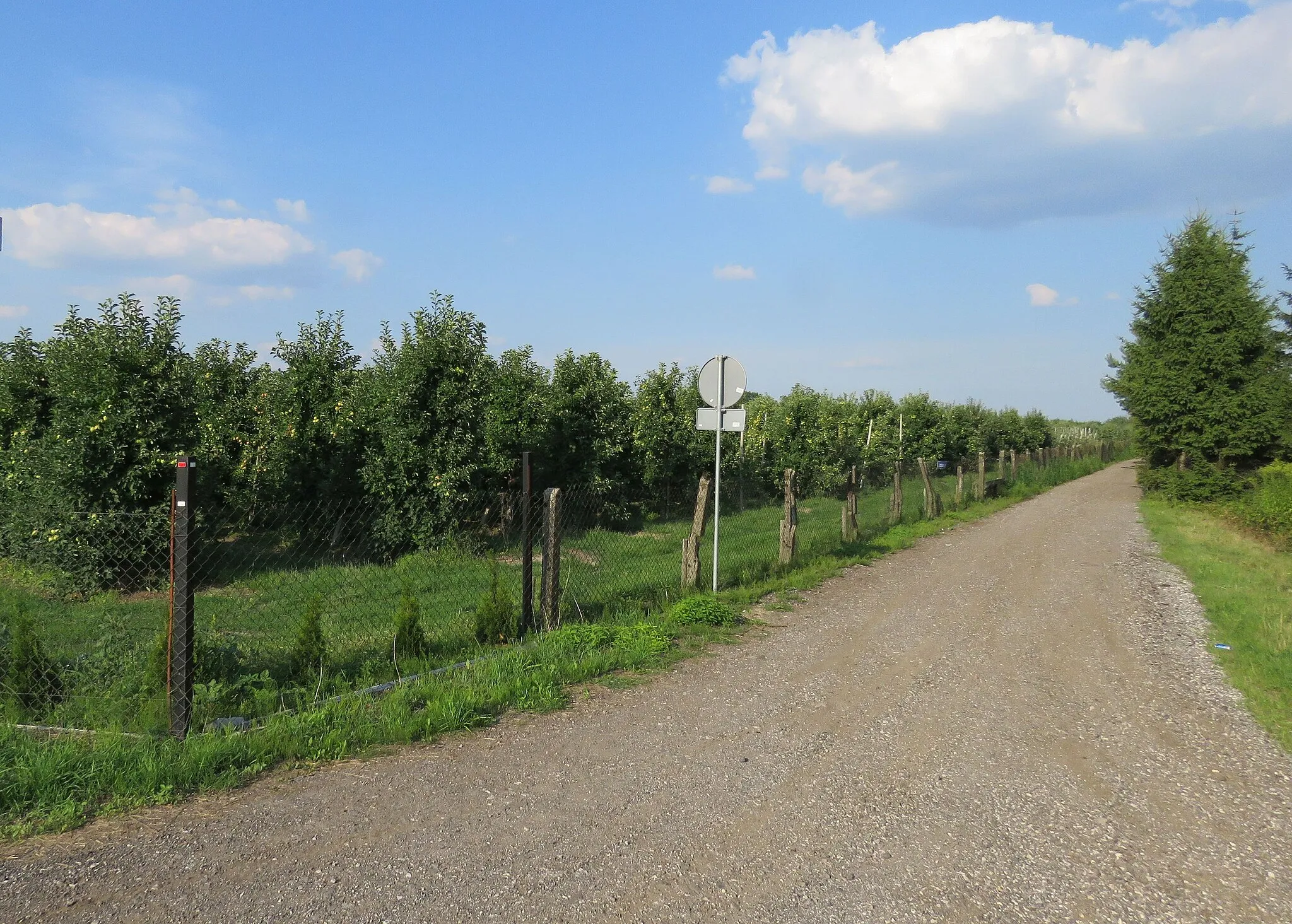 Photo showing: Parcele-Jeżewice, ulica Jabłoniowa