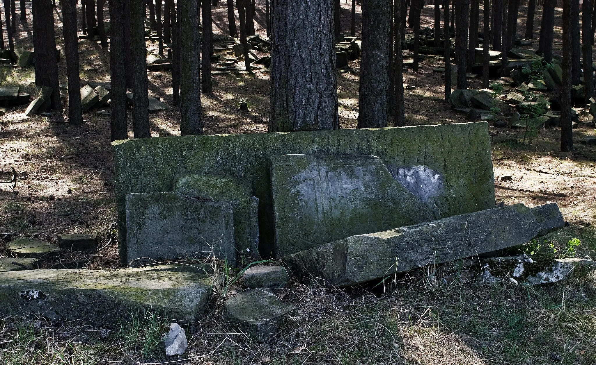 Photo showing: Jewish cemetery in Sobienie-Jeziory