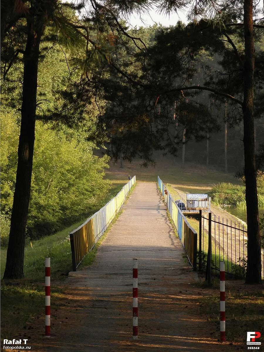 Photo showing: Droga pieszo-rowerowa przez zaporę.