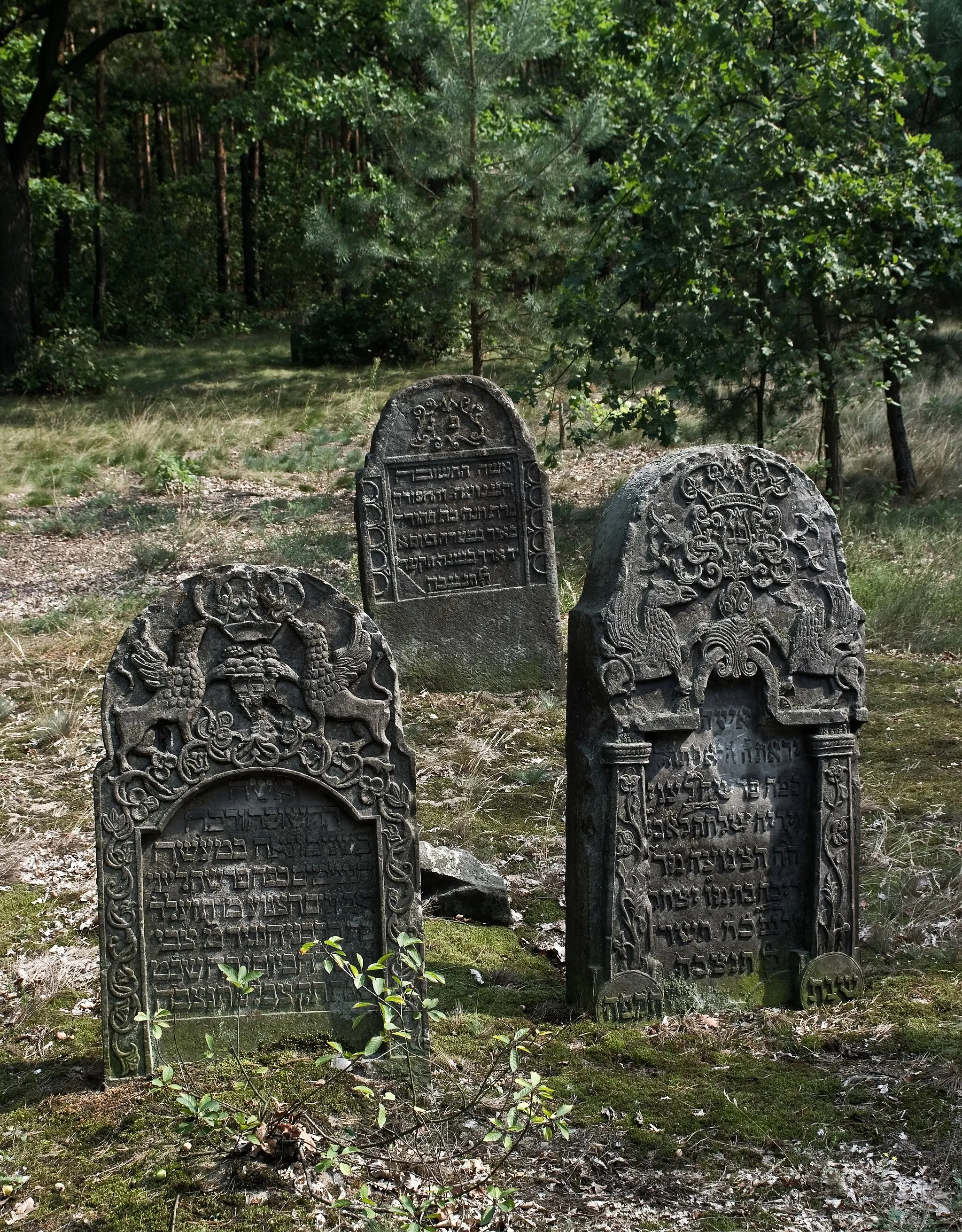 Photo showing: Jewish cemetery in Przytyk