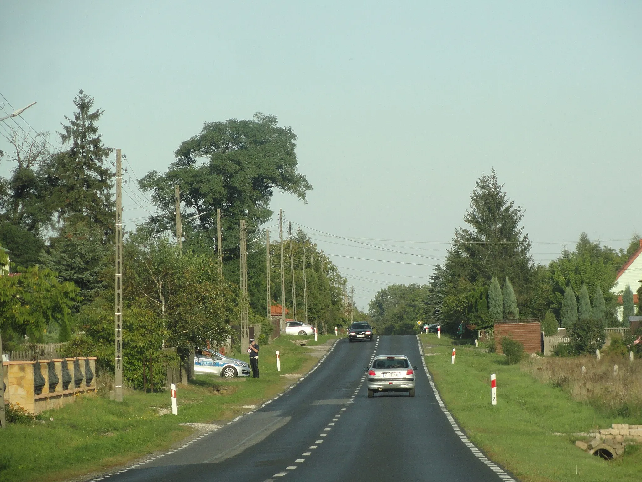 Photo showing: Głowna droga w Pawłowie w powiecie szydłowieckim, po lewej stronie drogi widoczni kontrolujący samochody policjanci.