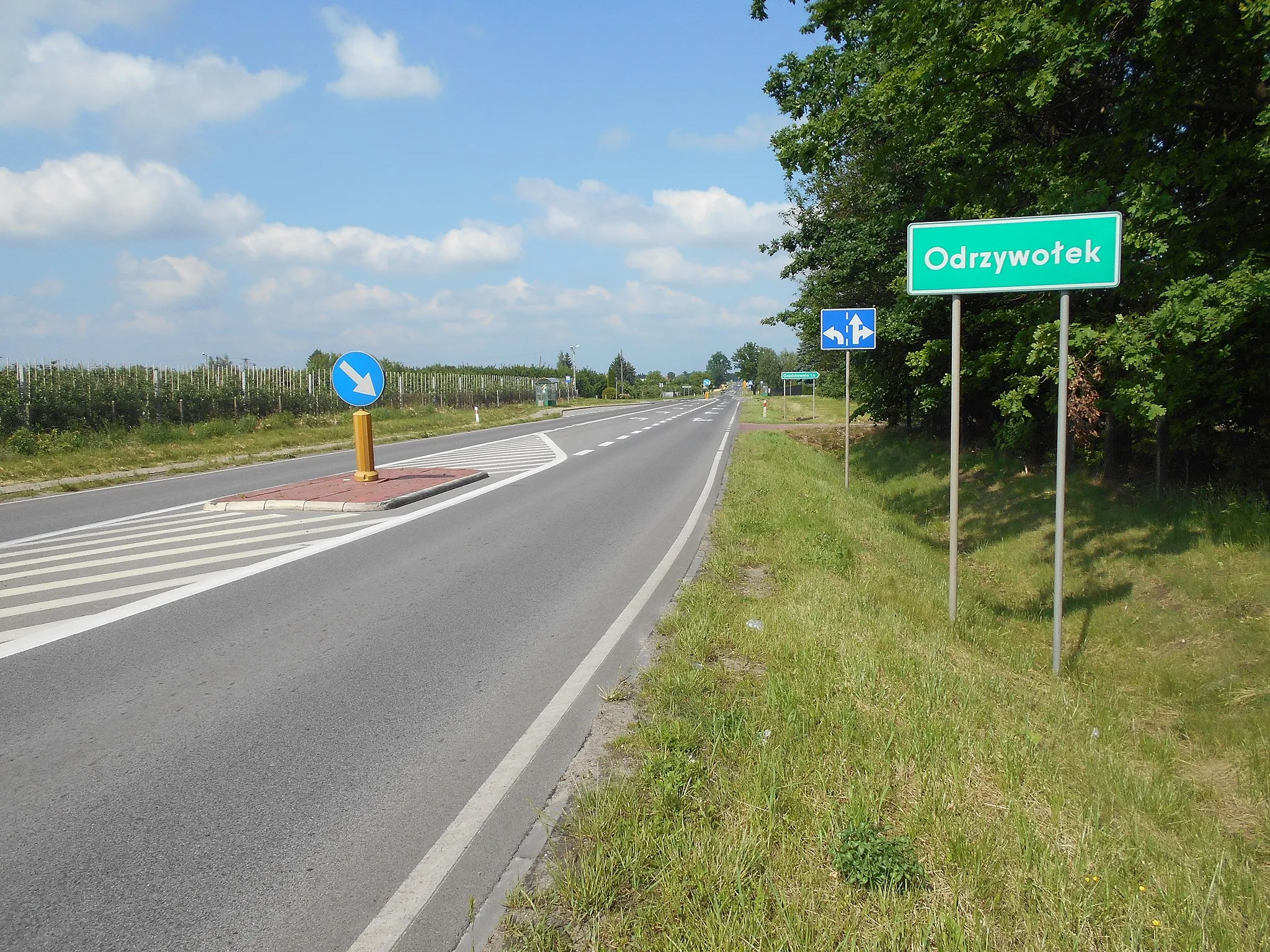Photo showing: Miejscowość w gminie Belsk Duży