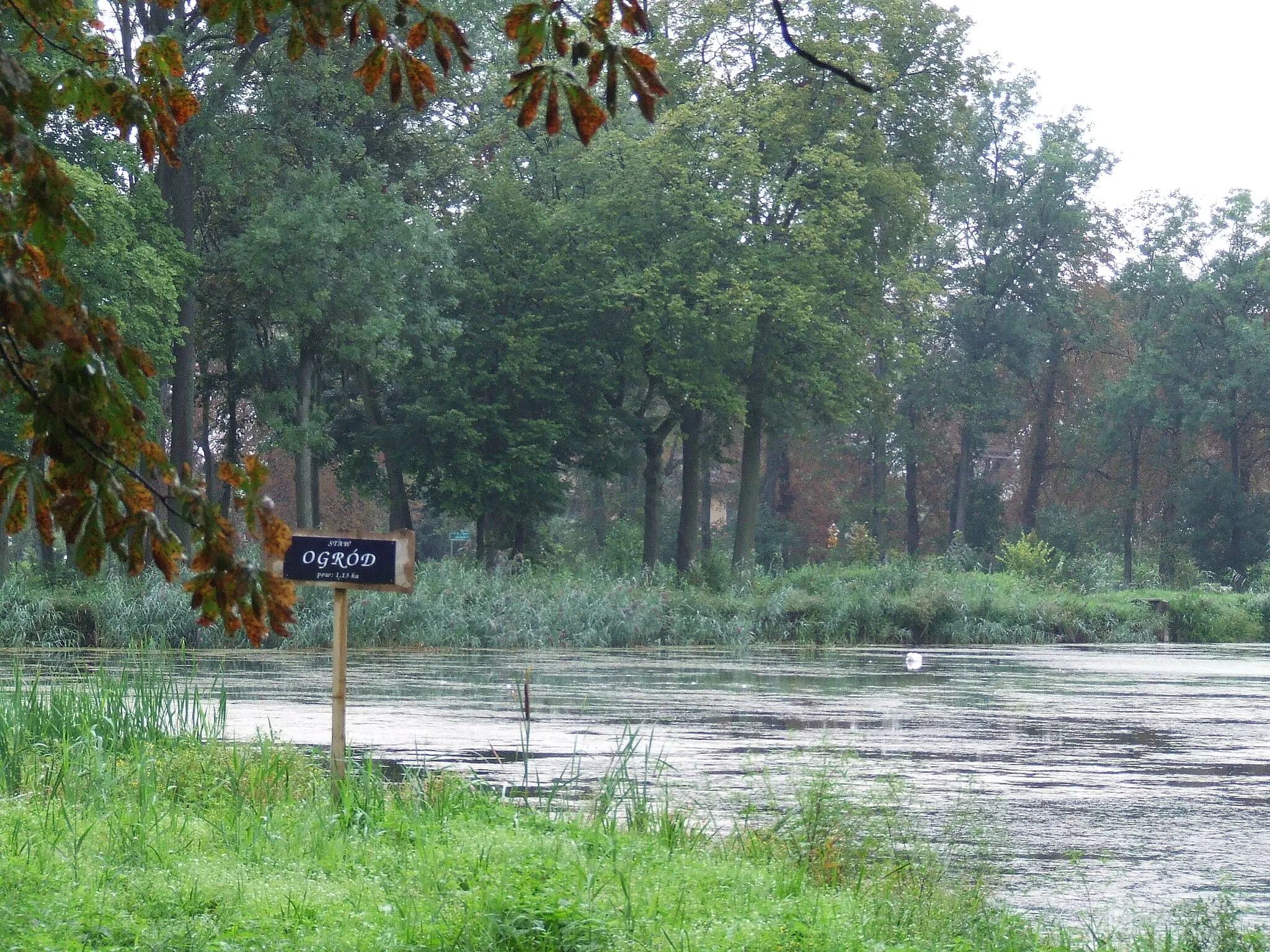 Photo showing: Trojanów - dwór - park zabytek nr A-351 z 31.12.1983