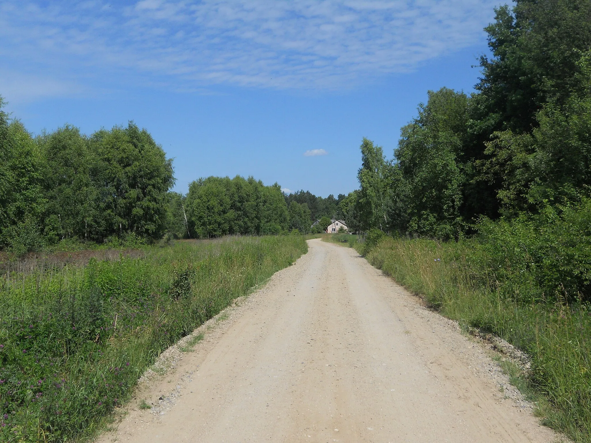 Photo showing: Miejscowość w gminie Siennica
