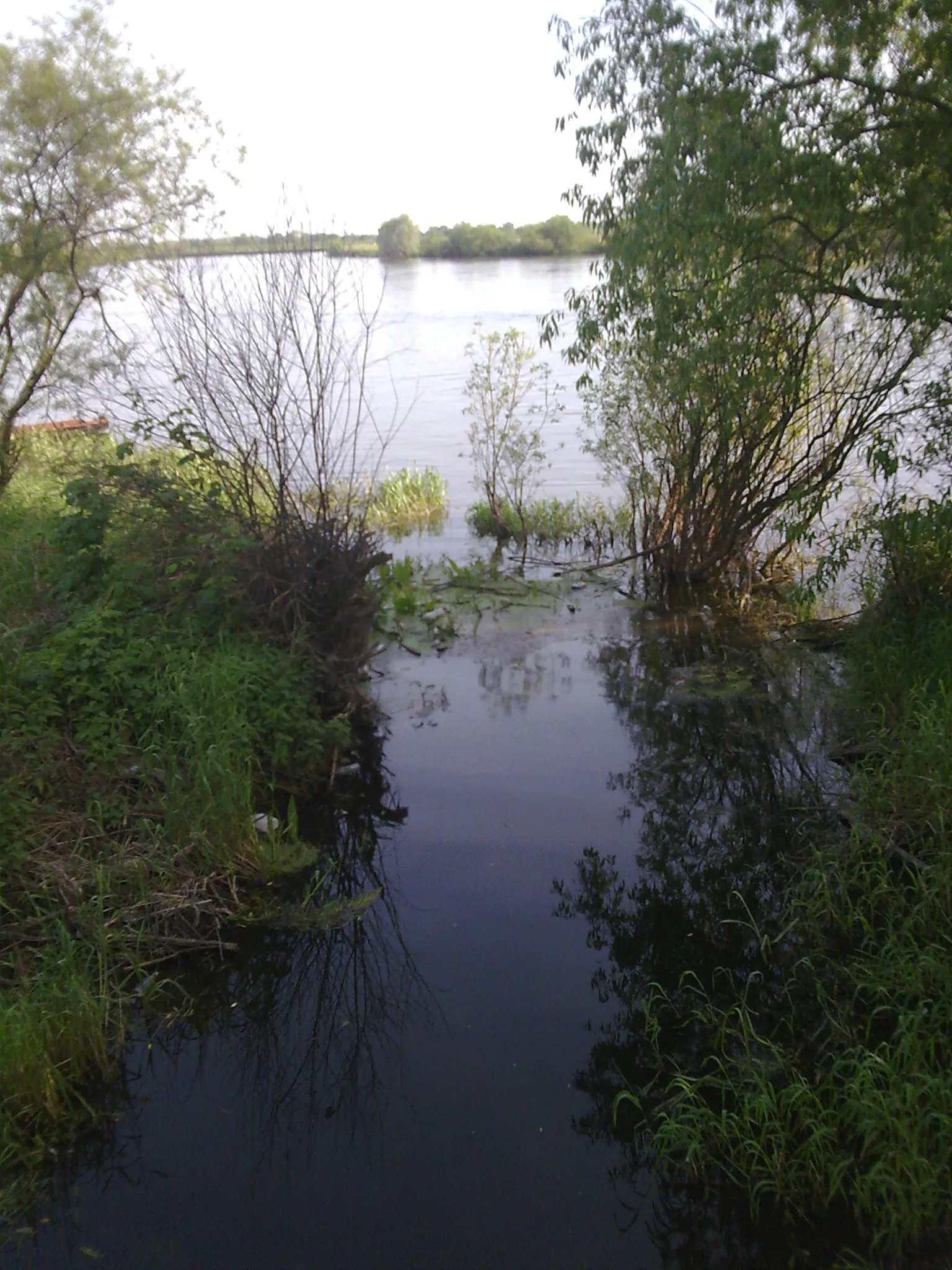 Photo showing: Ujście rzeczki Turki do Bugu