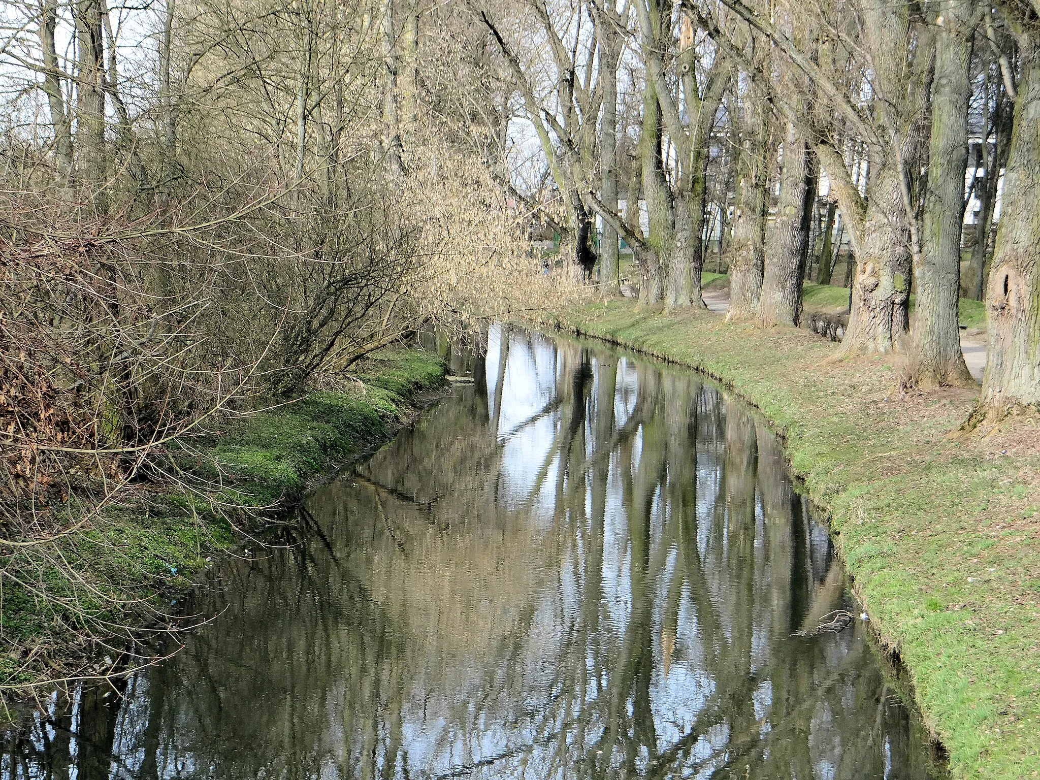 Photo showing: This is a photography of protected area with CRFOP ID