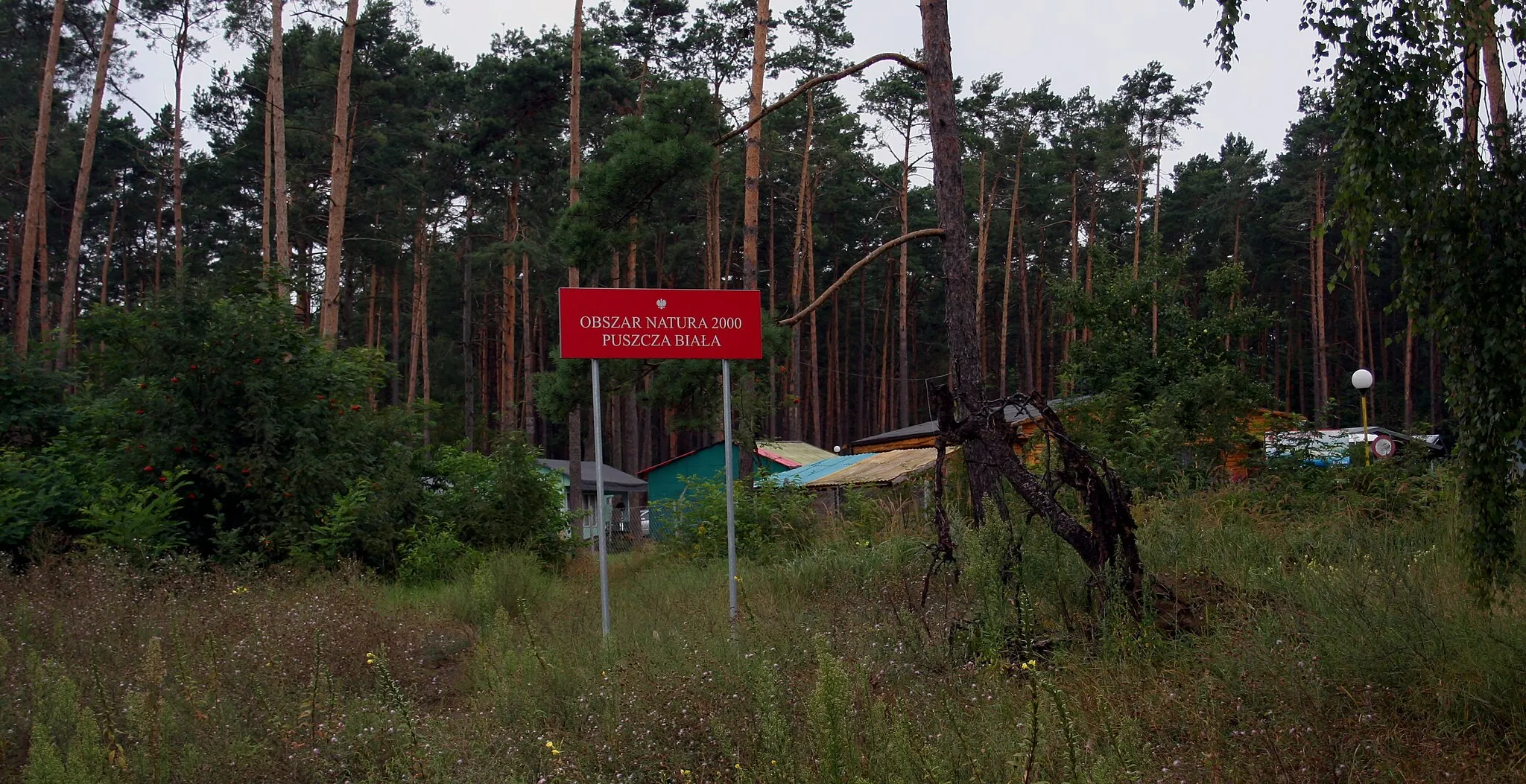 Photo showing: Obszar Natura 2000 Puszcza Biała - tablica, Brok