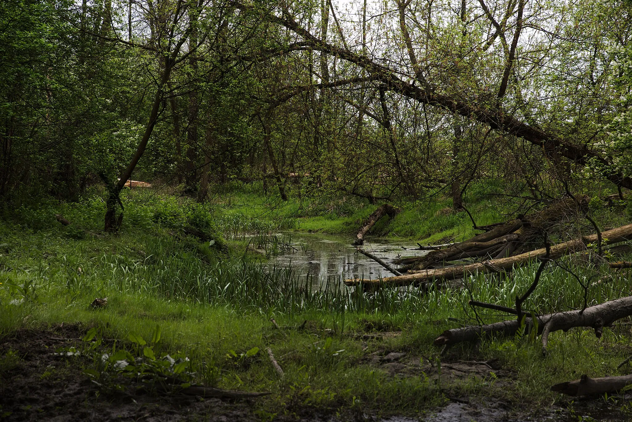 Photo showing: This is a a picture of a Natura 2000 protected area with ID