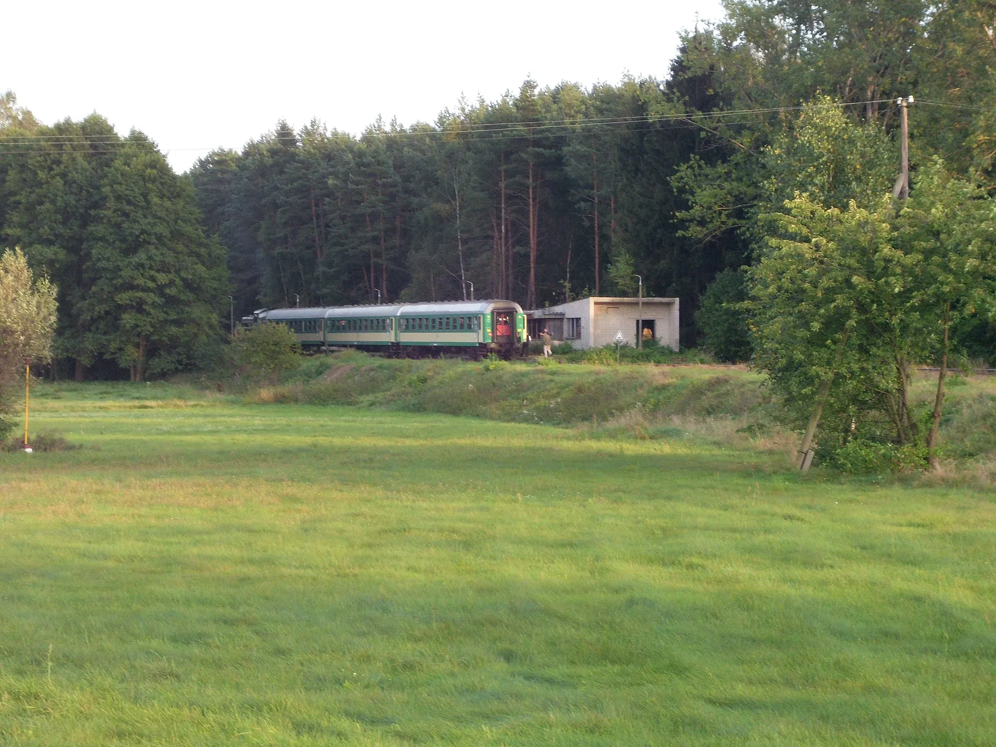Photo showing: Tourist train at a disused station in Jelonki, Poland, on Ostrołęka – Małkinia route. Picture was taken from a crossing just outside Przyborowie.