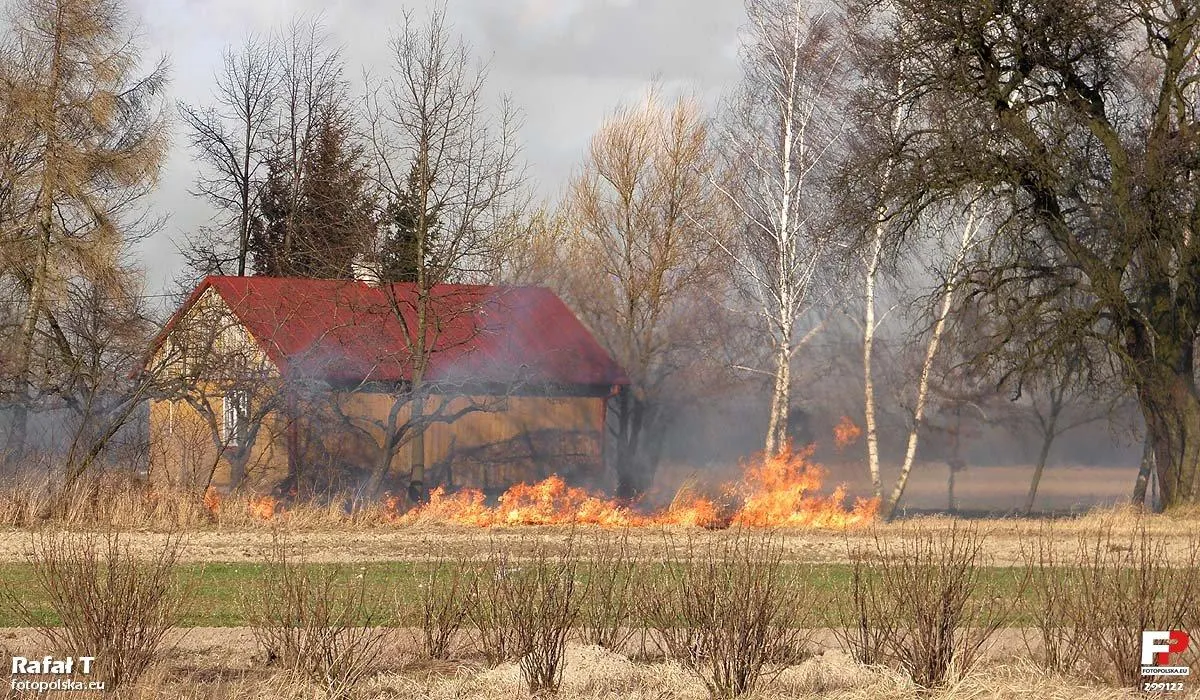 Photo showing: Przez płonące trawy ogień przeniósł się w pobliże budynku mieszkalnego.