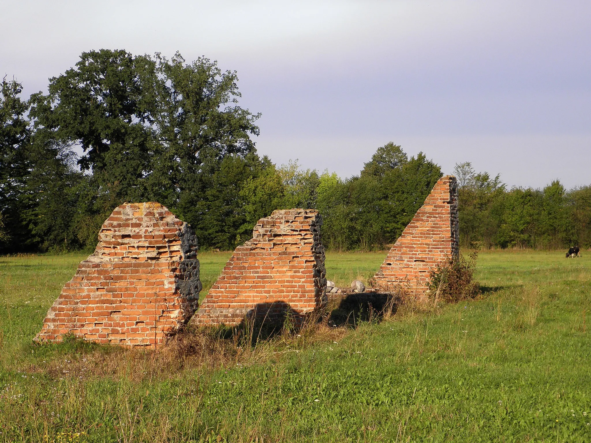 Photo showing: Branica - ostatnie ślady zespołu dworskiego.