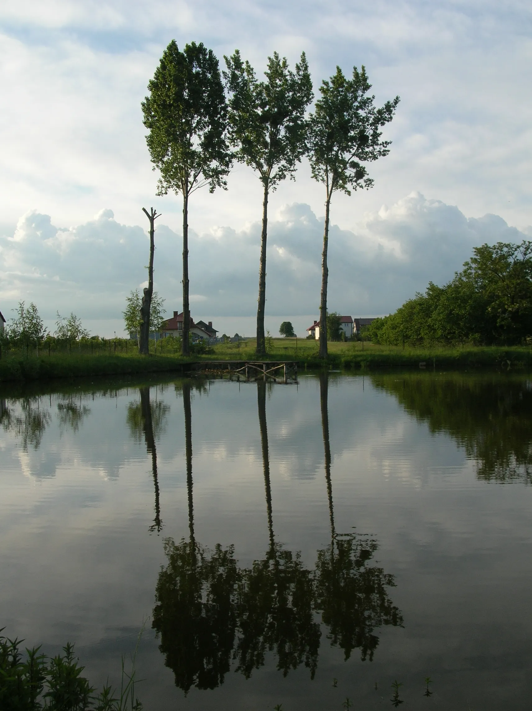 Photo showing: Pond in Kuczki