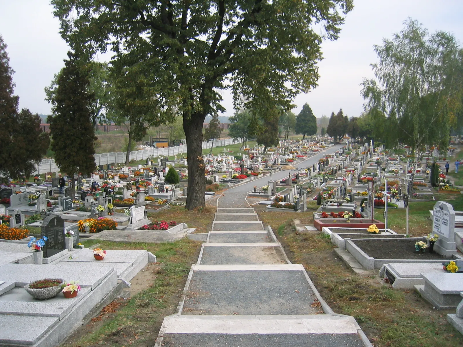 Photo showing: Cmentarz w Kłodnicy