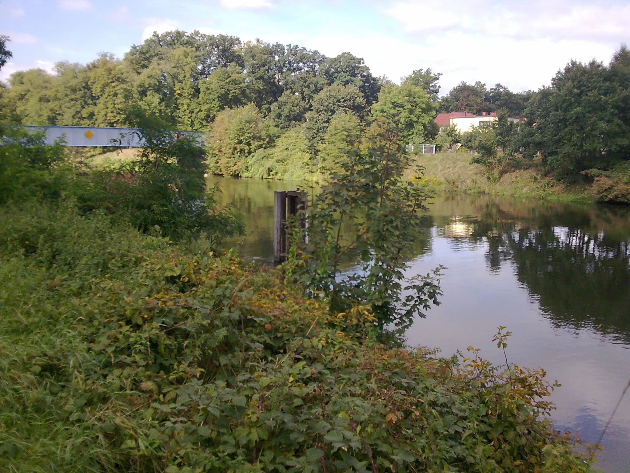 Photo showing: Kanał Gliwicki w Sławecicach