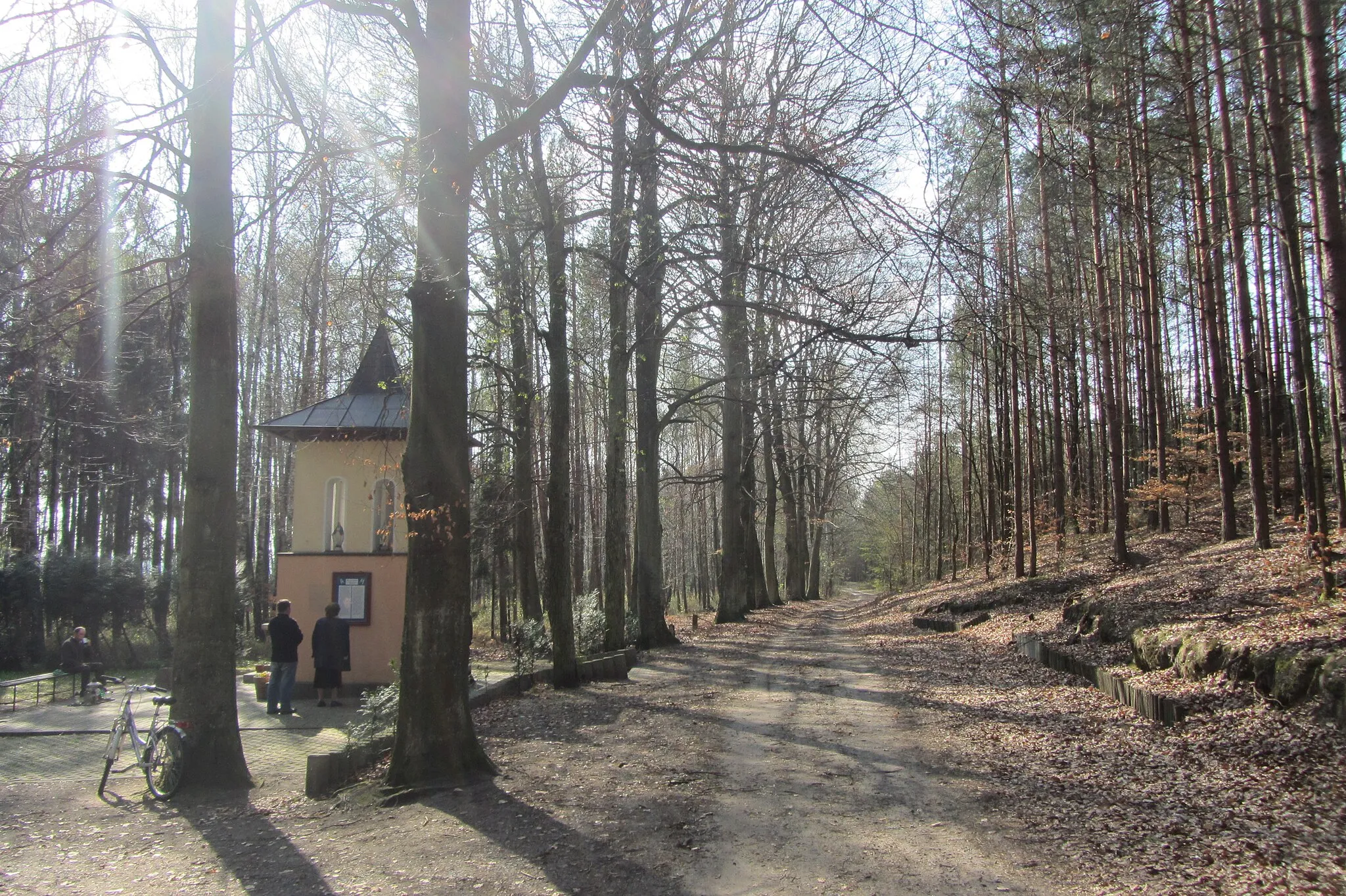 Photo showing: Heilquelle mit der Kapelle Studzionka