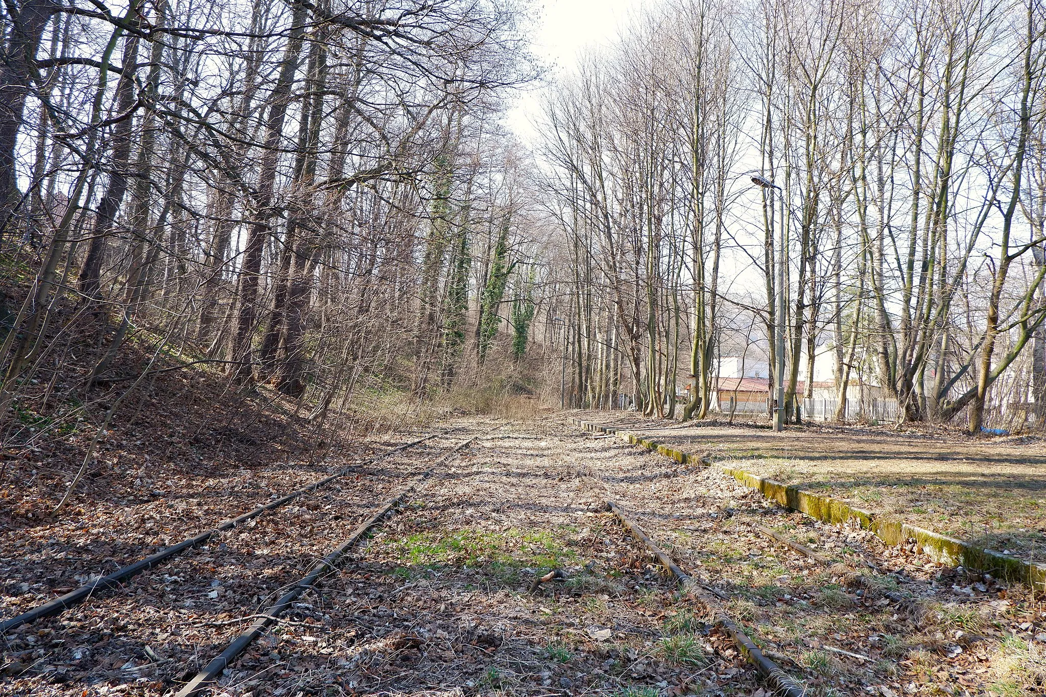 Photo showing: Abandoned train station Głuchołazy Zdrój
