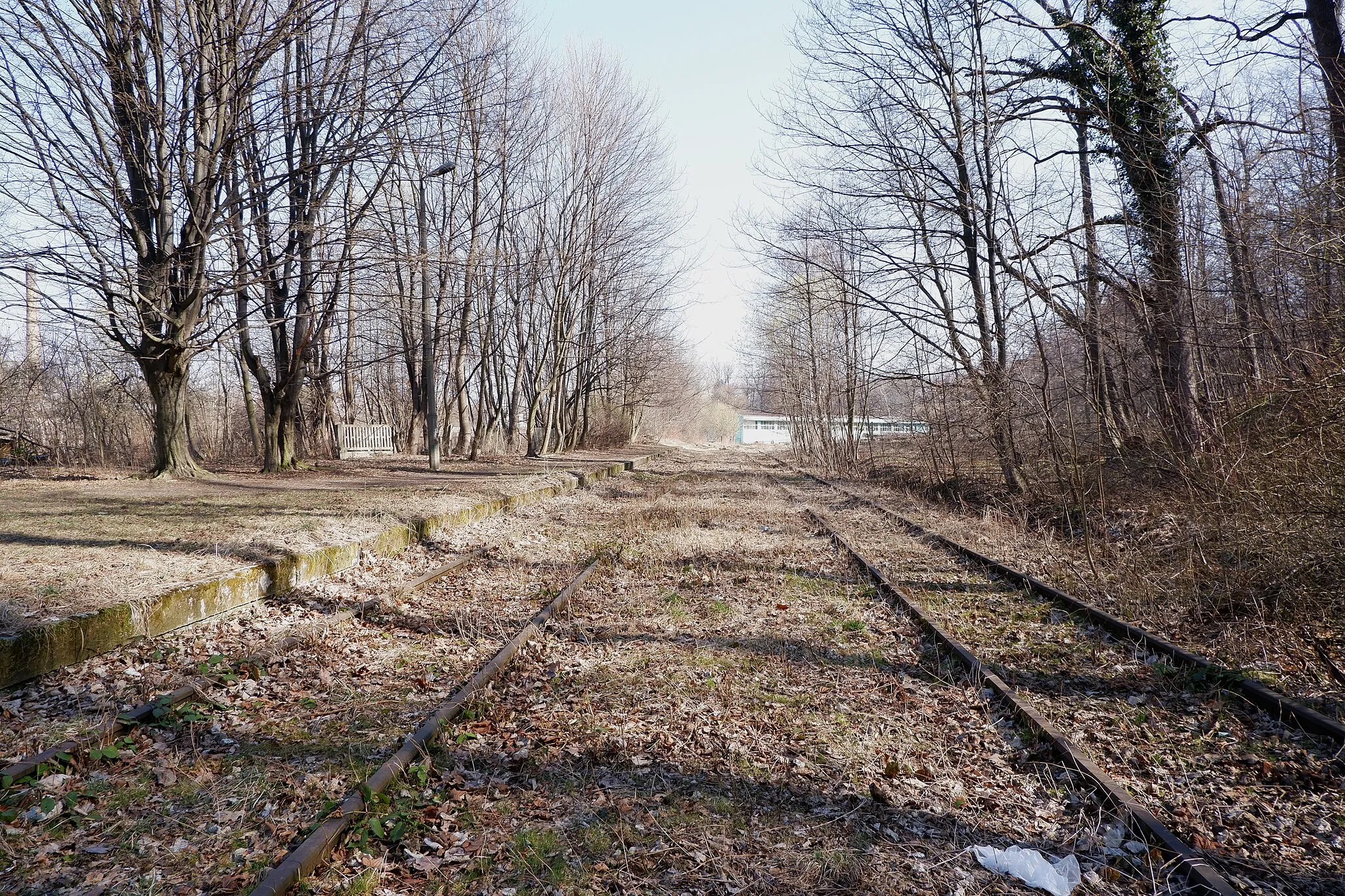 Photo showing: Abandoned train station Głuchołazy Zdrój