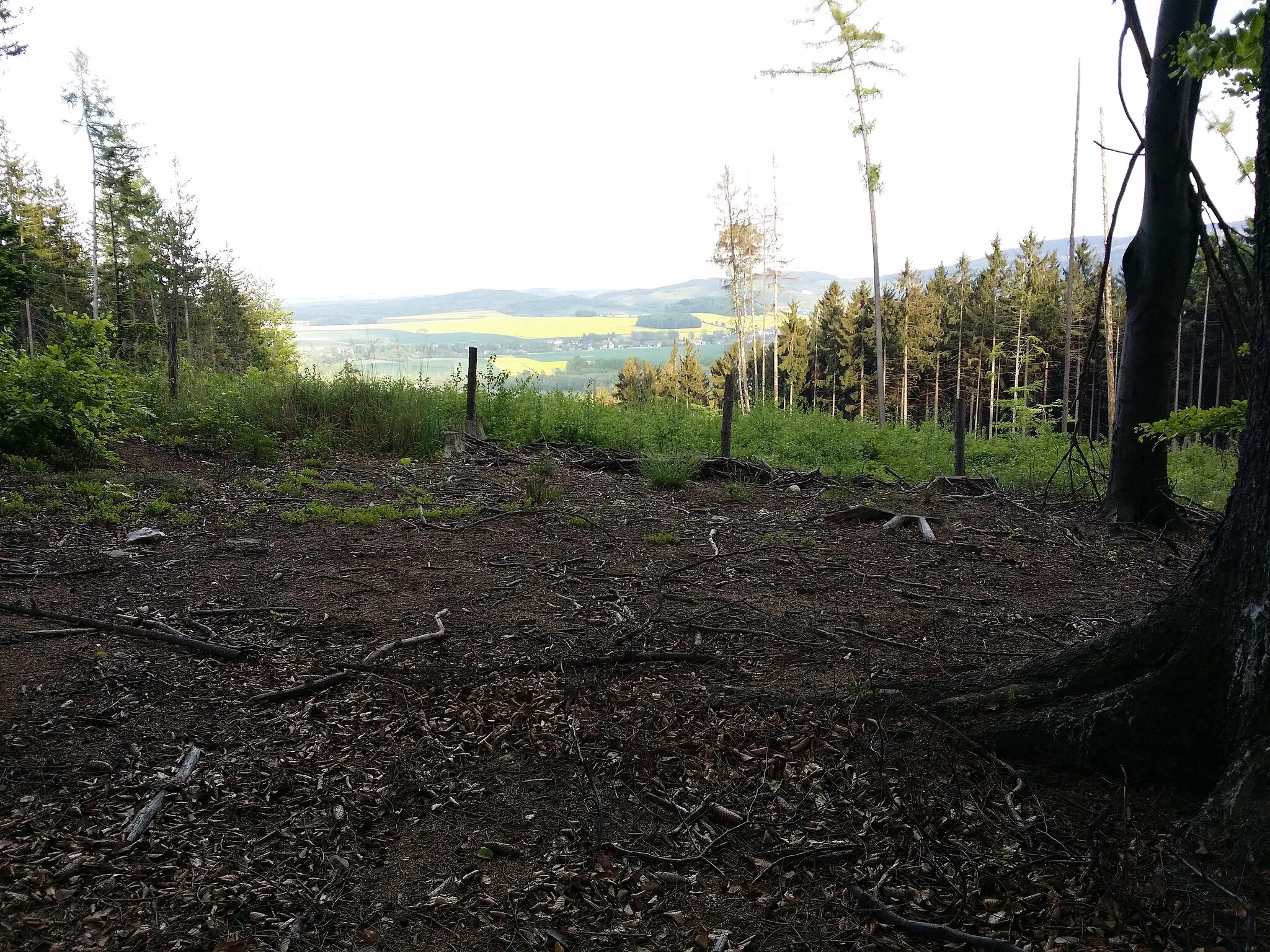 Photo showing: This is a a picture of a Natura 2000 protected area with ID