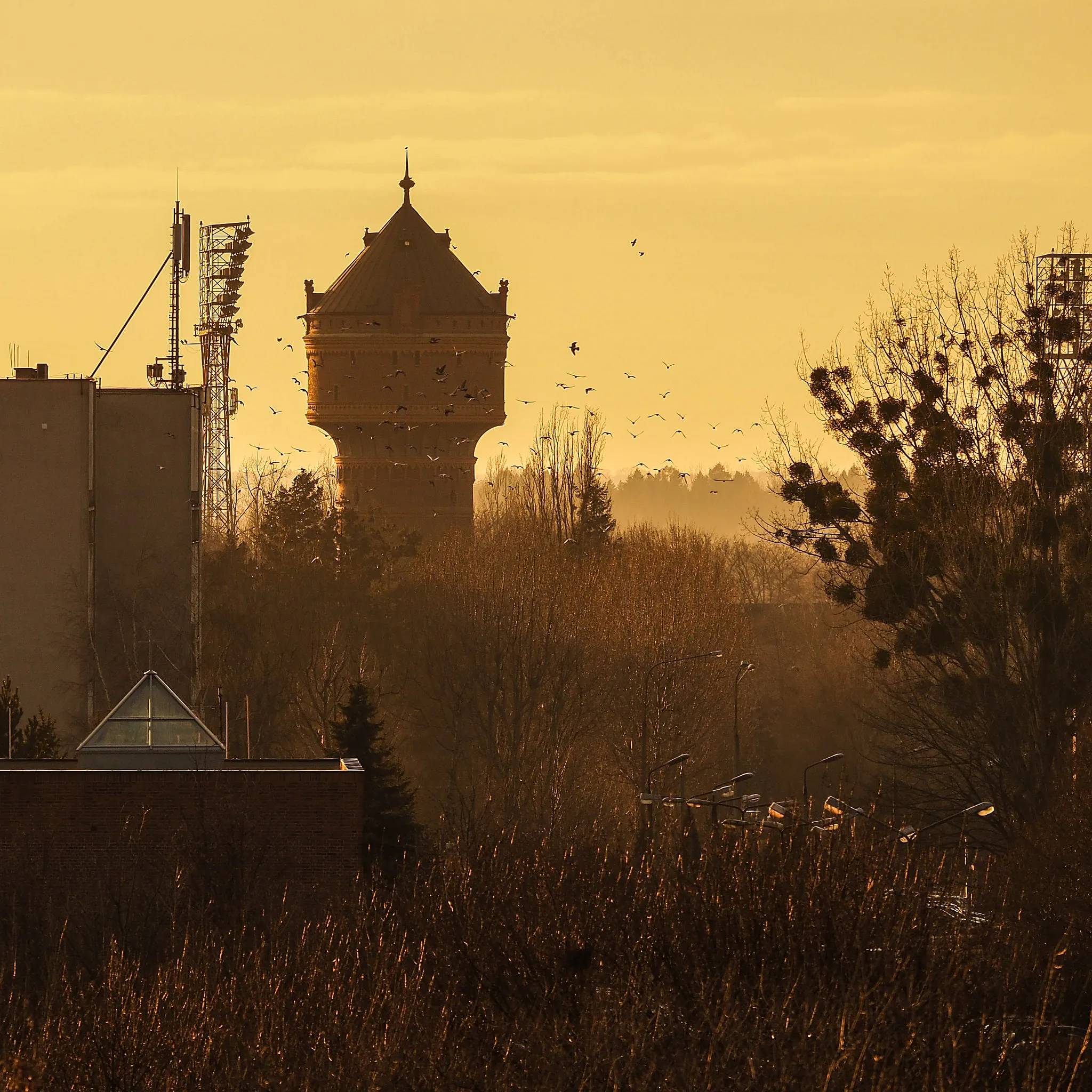 Photo showing: This is a photo of a monument in Poland identified in WLM database by the ID