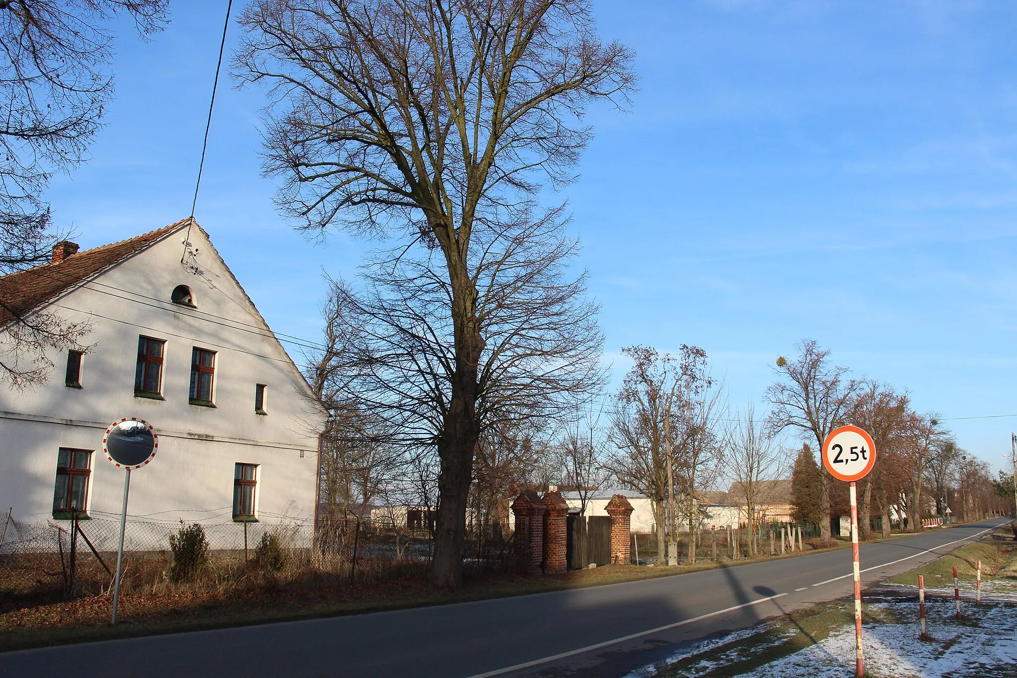 Photo showing: Brzezinki (woj. opolskie).