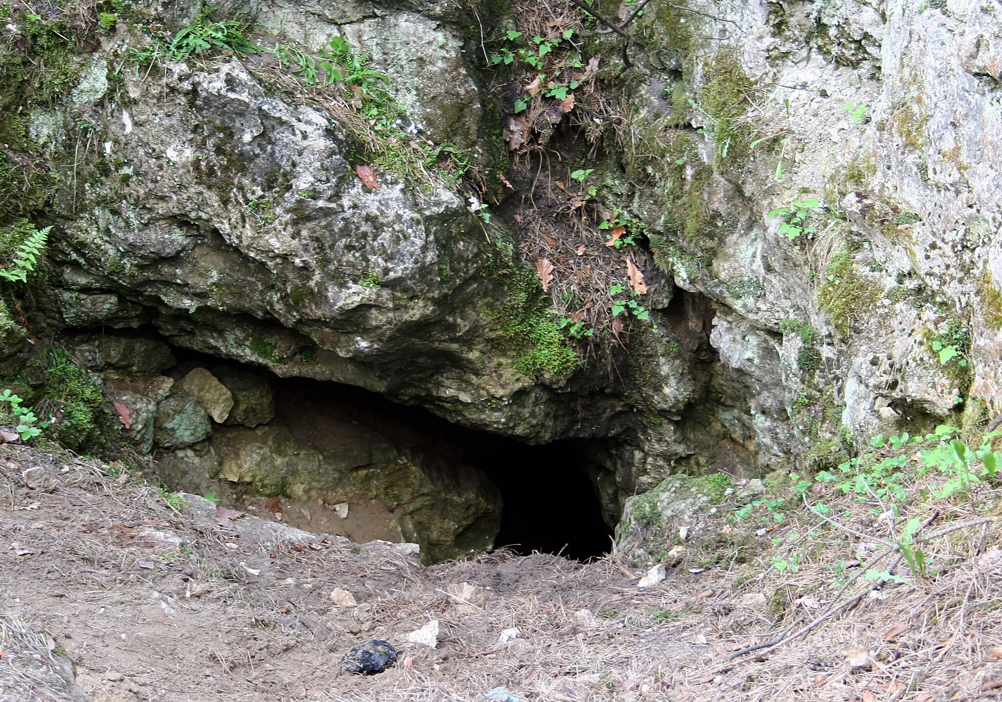 Photo showing: Załęczański PK, Rezerwat Węże, jaskinia Niespodzianka na górze Zelce - wejście