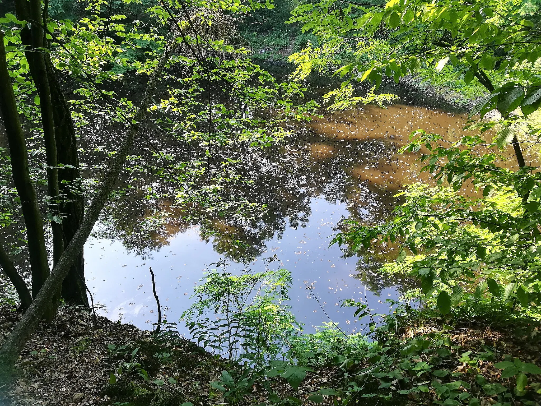 Photo showing: Kobylica w Górach Opawskich, koło Dębowca. Dawny kamieniołom - obecny staw.