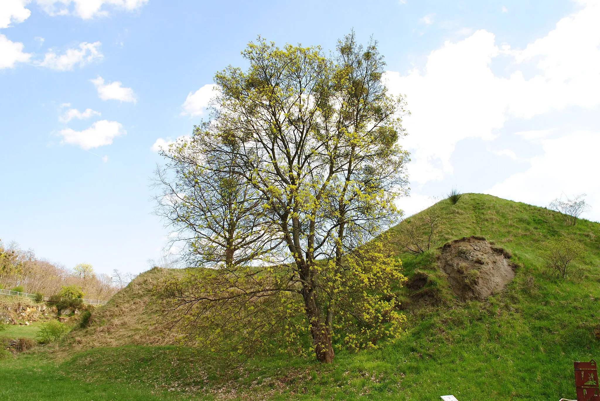 Photo showing: Góra Świętej Anny, woj. opolskie. Rezerwat przyrody Góra Św. Anny