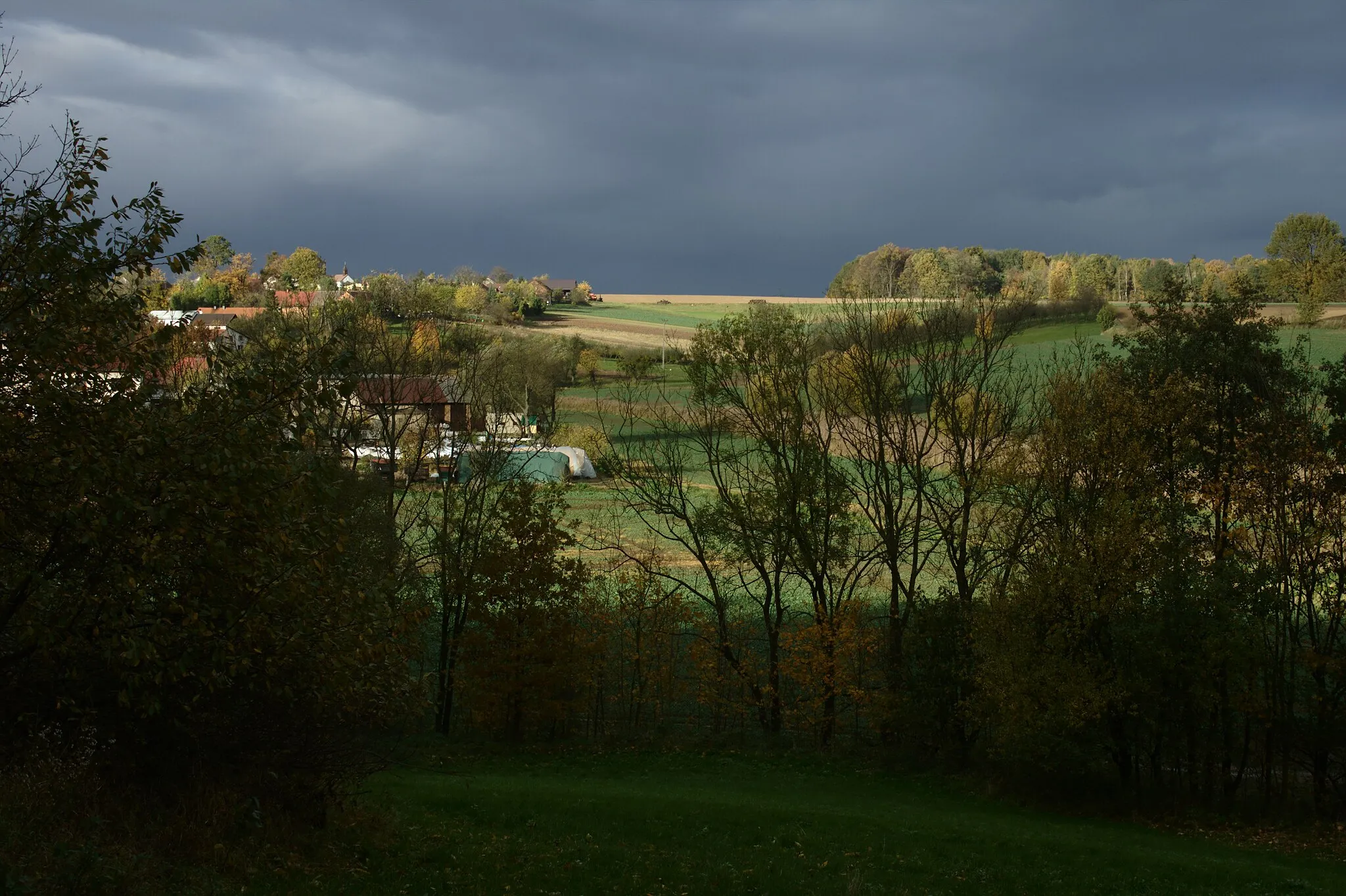Photo showing: View of Czerwięcice, Poland